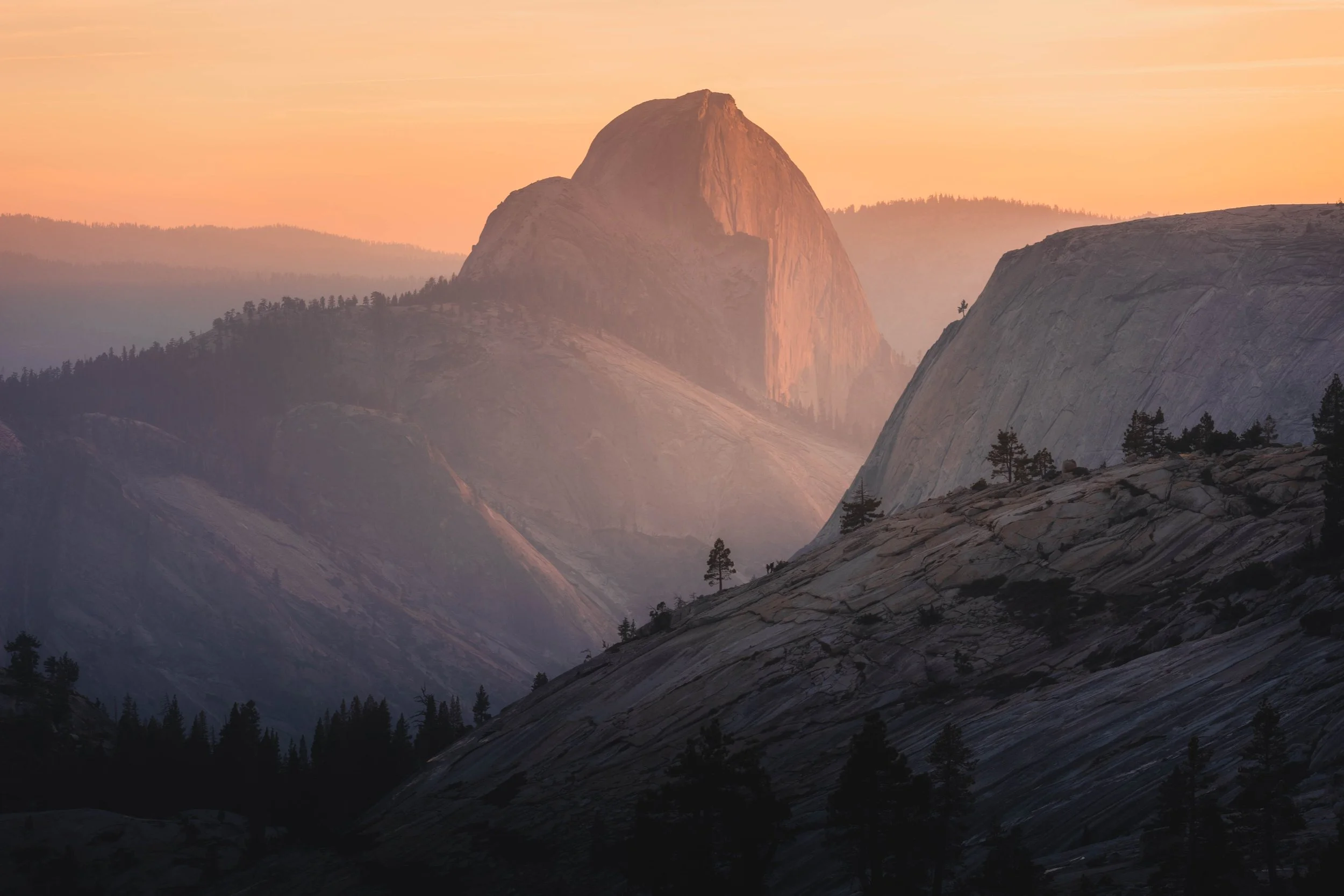 YOSEMITE4-1.jpg