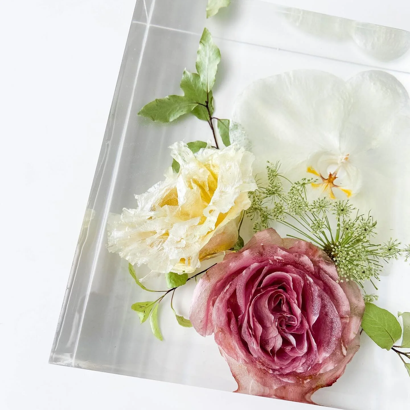 For Bethanie 🤍
&bull;
&bull;
Floral preservations are now open for until mid-2024, link to book in bio
&bull;
&bull;
Mould - @moldi.resinmolds (use &lsquo;Clarissa10&rsquo; for a discount) &amp; @aajmolds 
Resin - @barnesproducts 
Flowers - @flowerh
