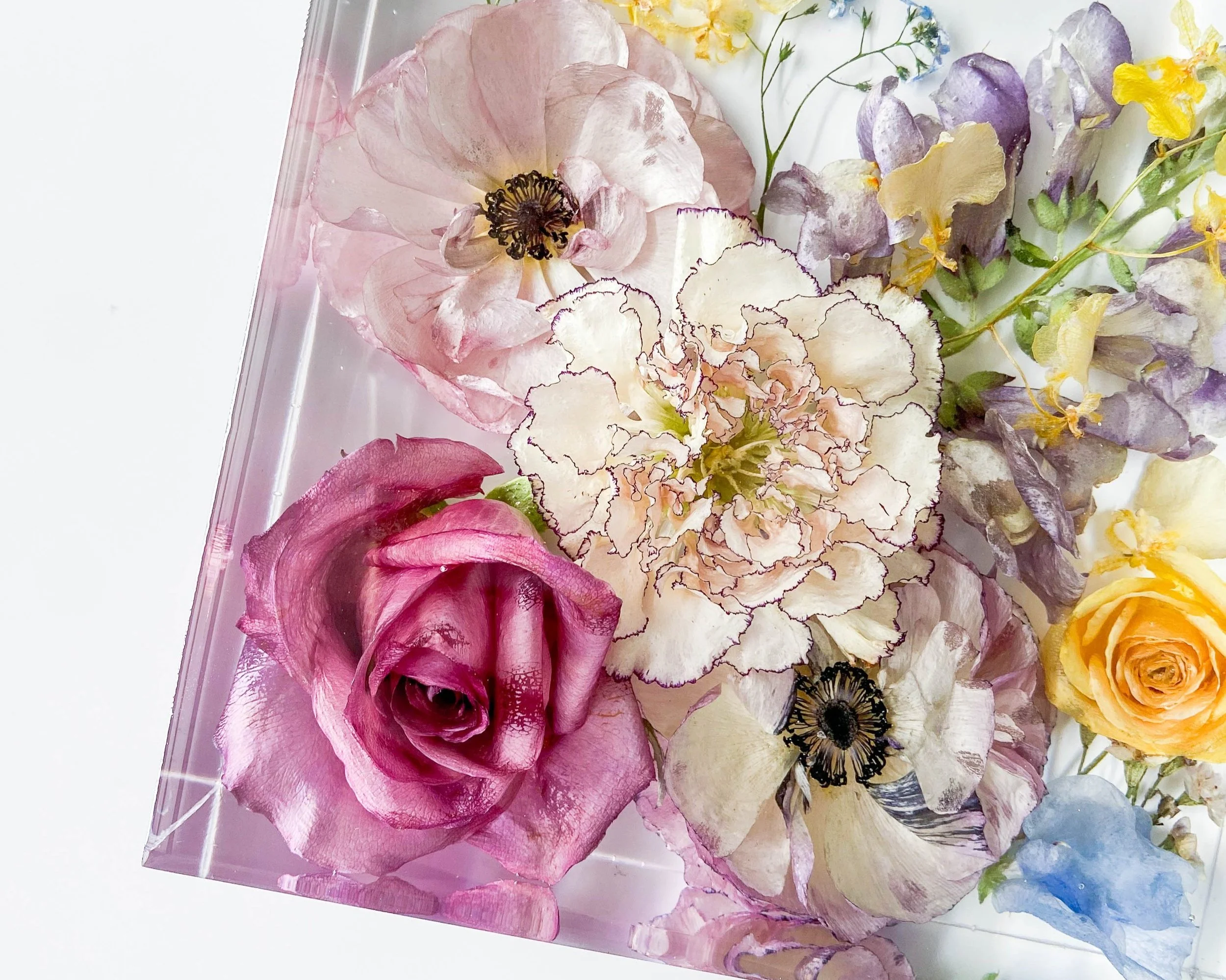 A carnation, ranunculus and rose are shown in a floral resin block