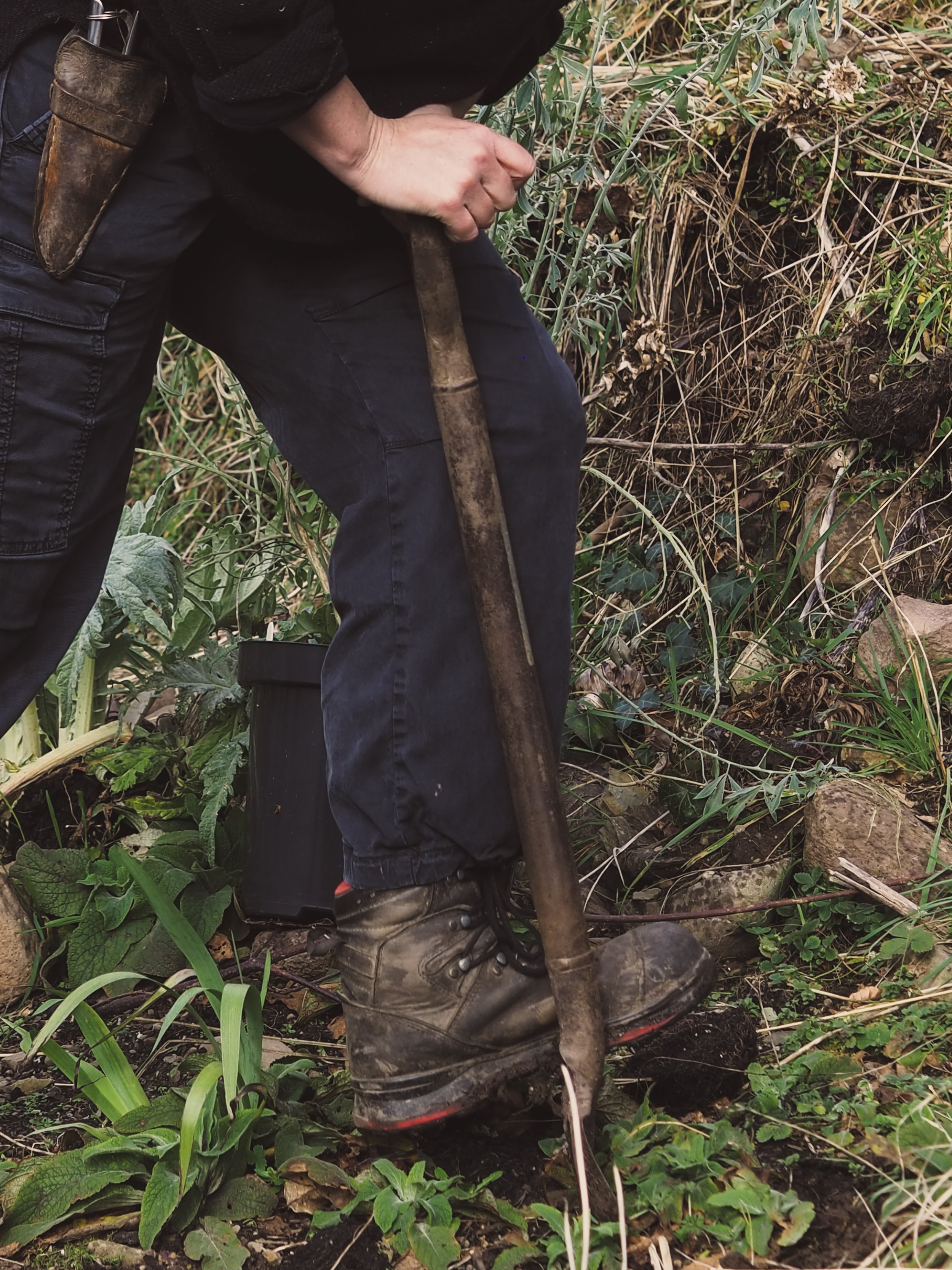 Person using a Niwaki golden shovel to dig in the soil in a garden.