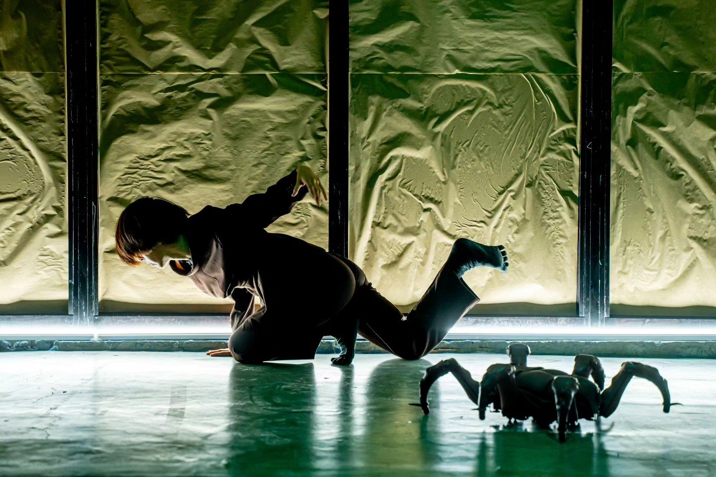 The Bug, Scarecrow Contemporary Dance Company, Photographer: Chen-Chen Wu