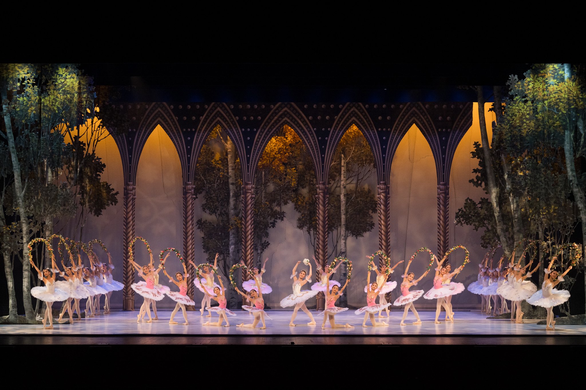 Le Corsaire – Le Jardin Animé ACT 3 - Entry, 2024