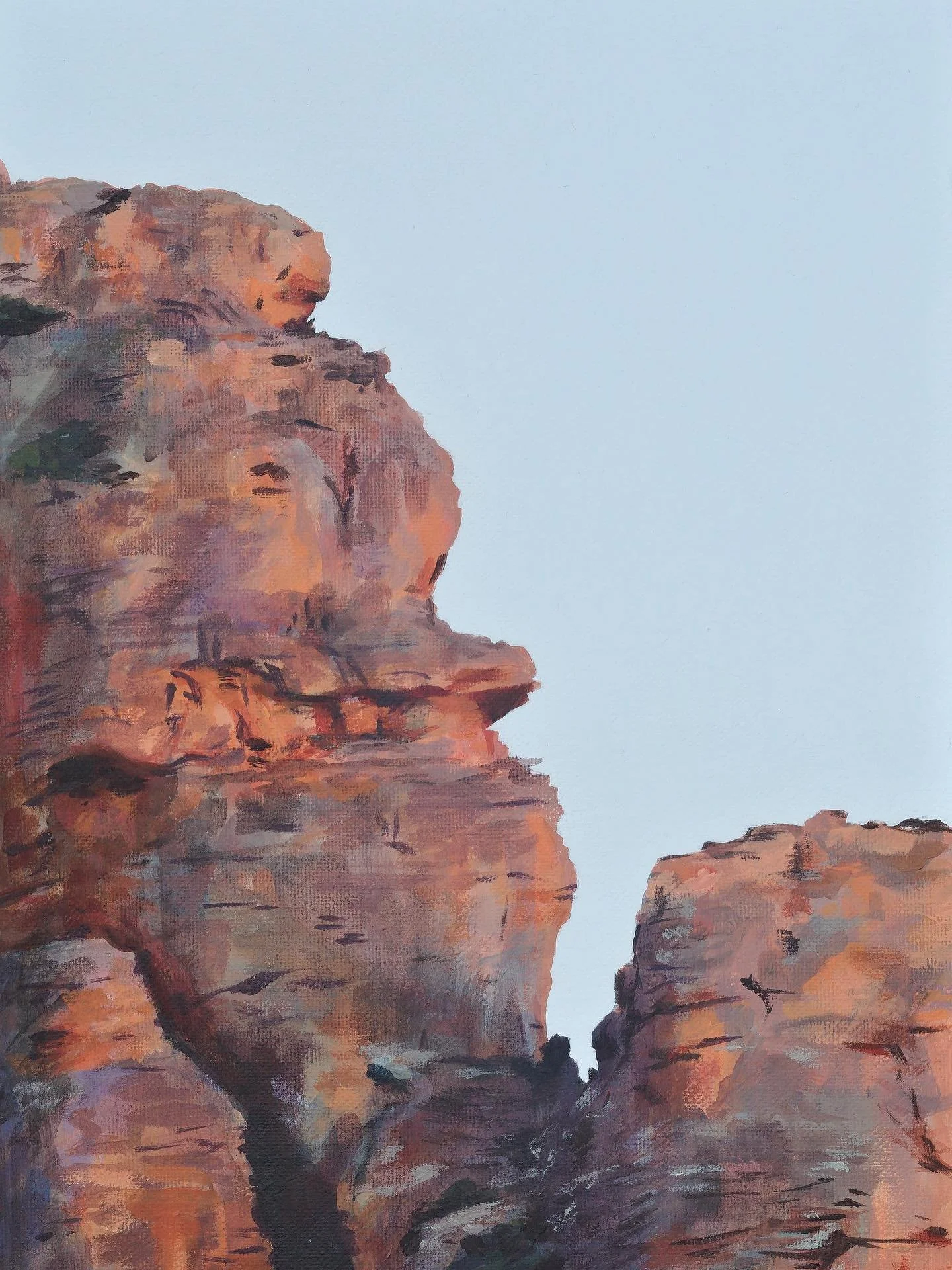 back from its photoshoot, test print in hand. So happy with my decision to do powder blue edges on the canvas 🥣🐟🪣🫐🐋🛋️ I love this rock.