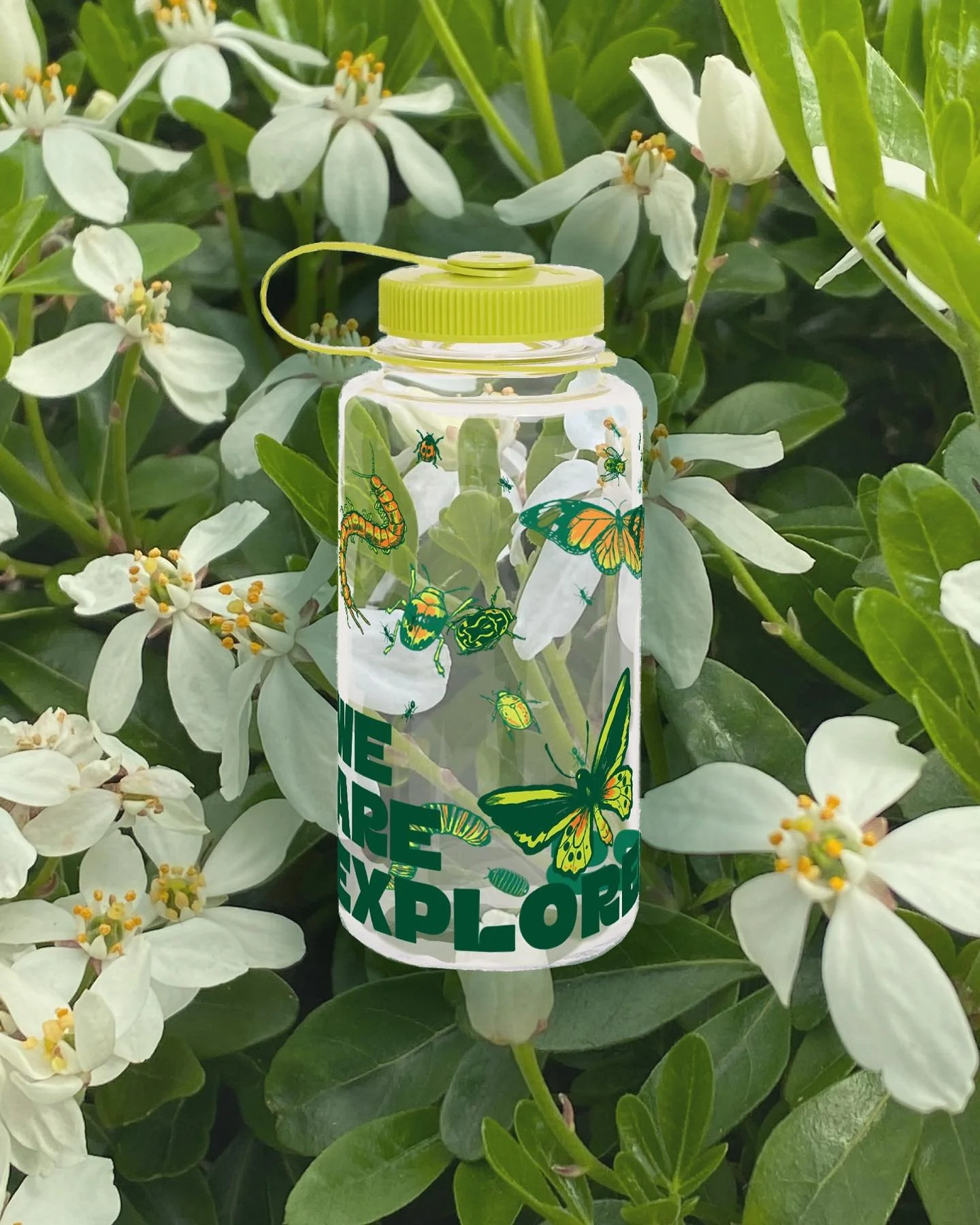 In June @nalgeneaustralia and @we_are_explorers had a design competition and this was my very simple last minute submission 🐛🪱🦋🪲🐞 trying to do more small/side projects that push me out of my comfort zone and get me out of my sketchbook 
Plus&hel