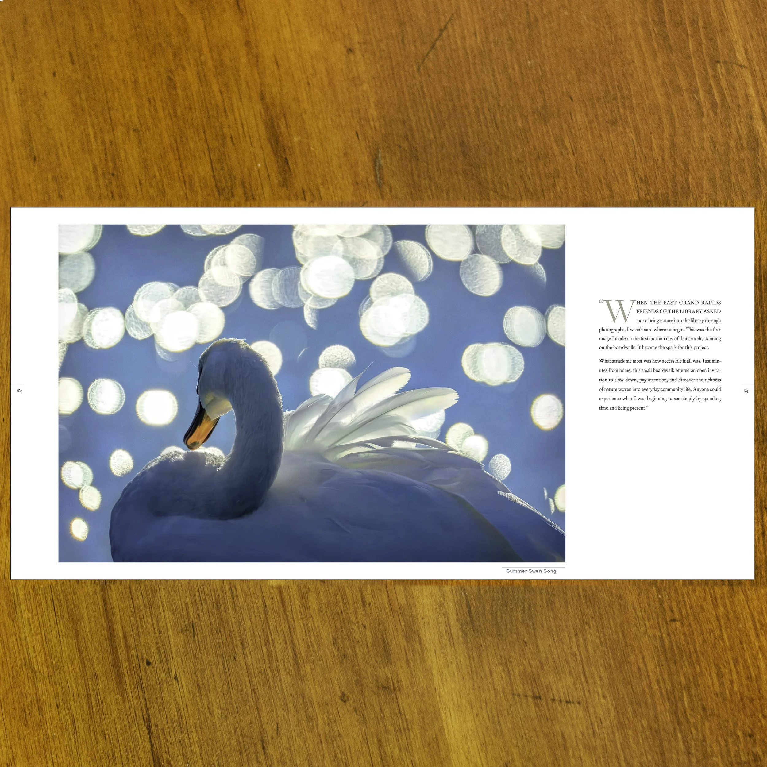 Splendor BK 10.jpg (Copy)