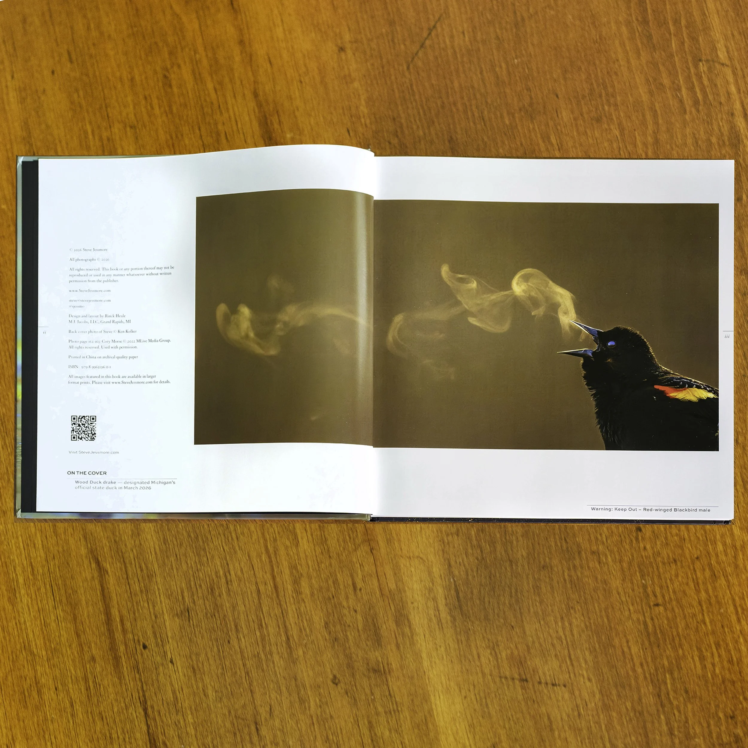 Splendor BK 03.jpg (Copy)