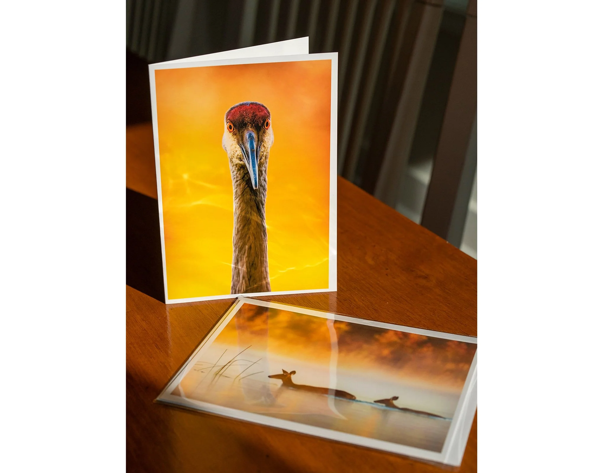 WEB_CARDS_07.jpg