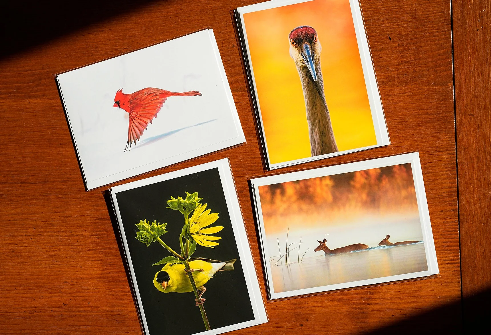 Greeting Cardxs_003.jpg