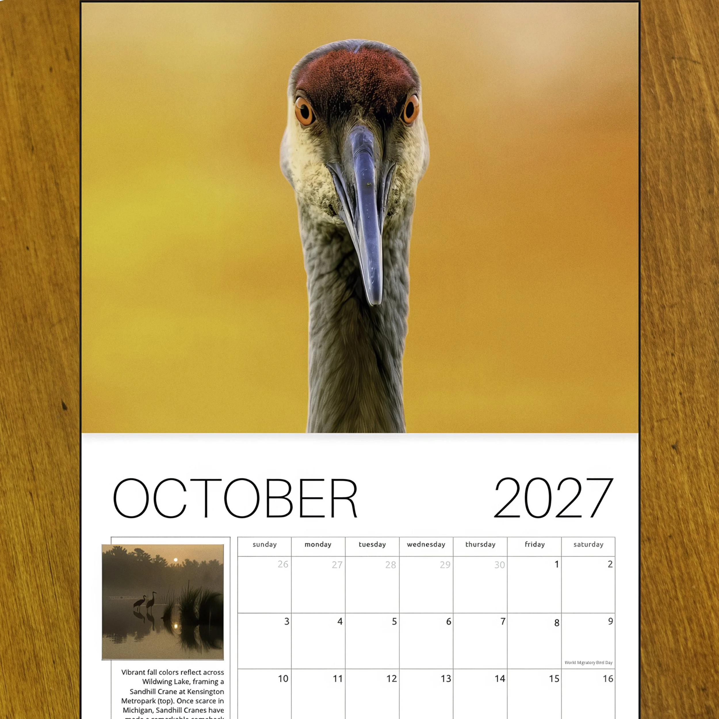 Splendor OCT table.jpg