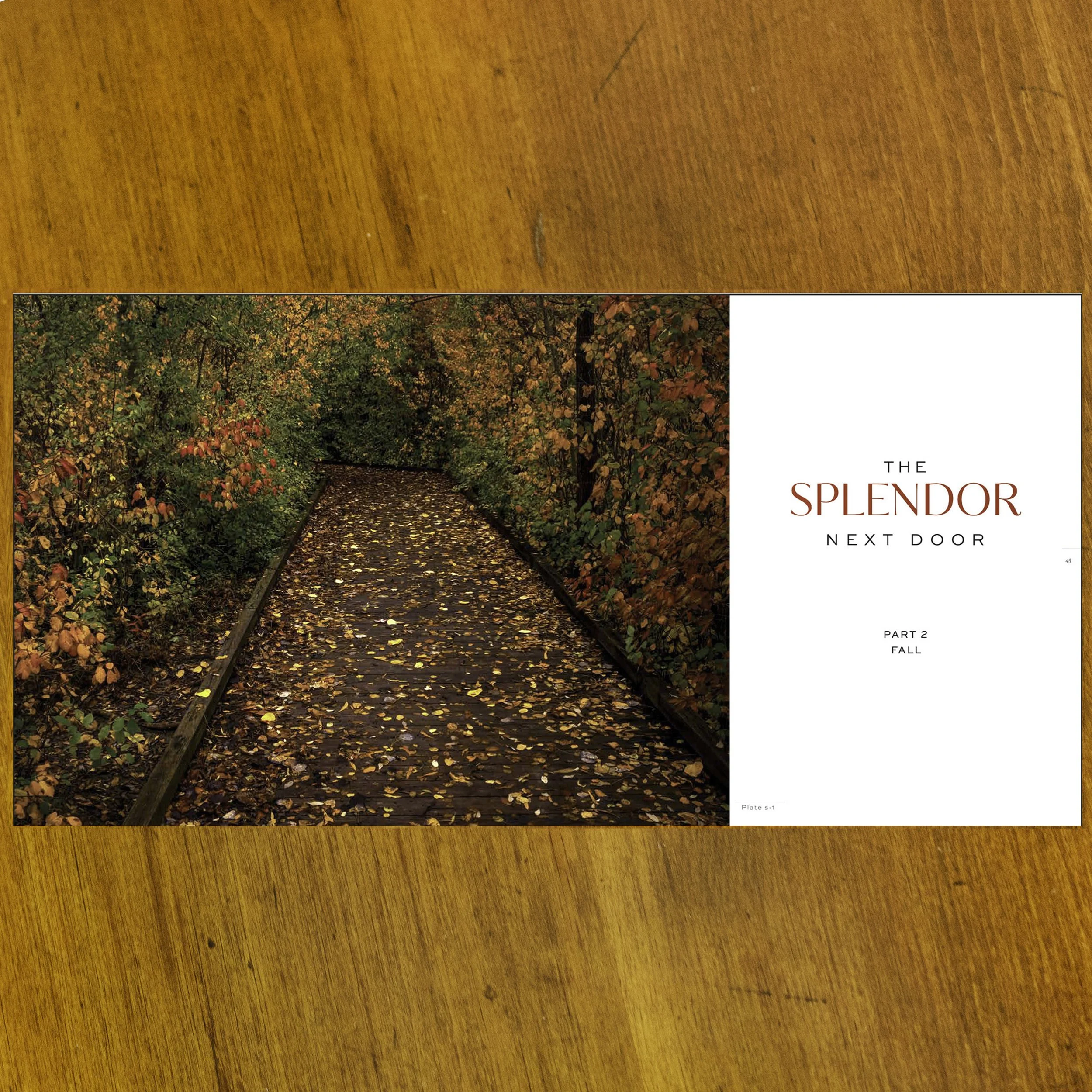 Splendor BK 09.jpg (Copy)