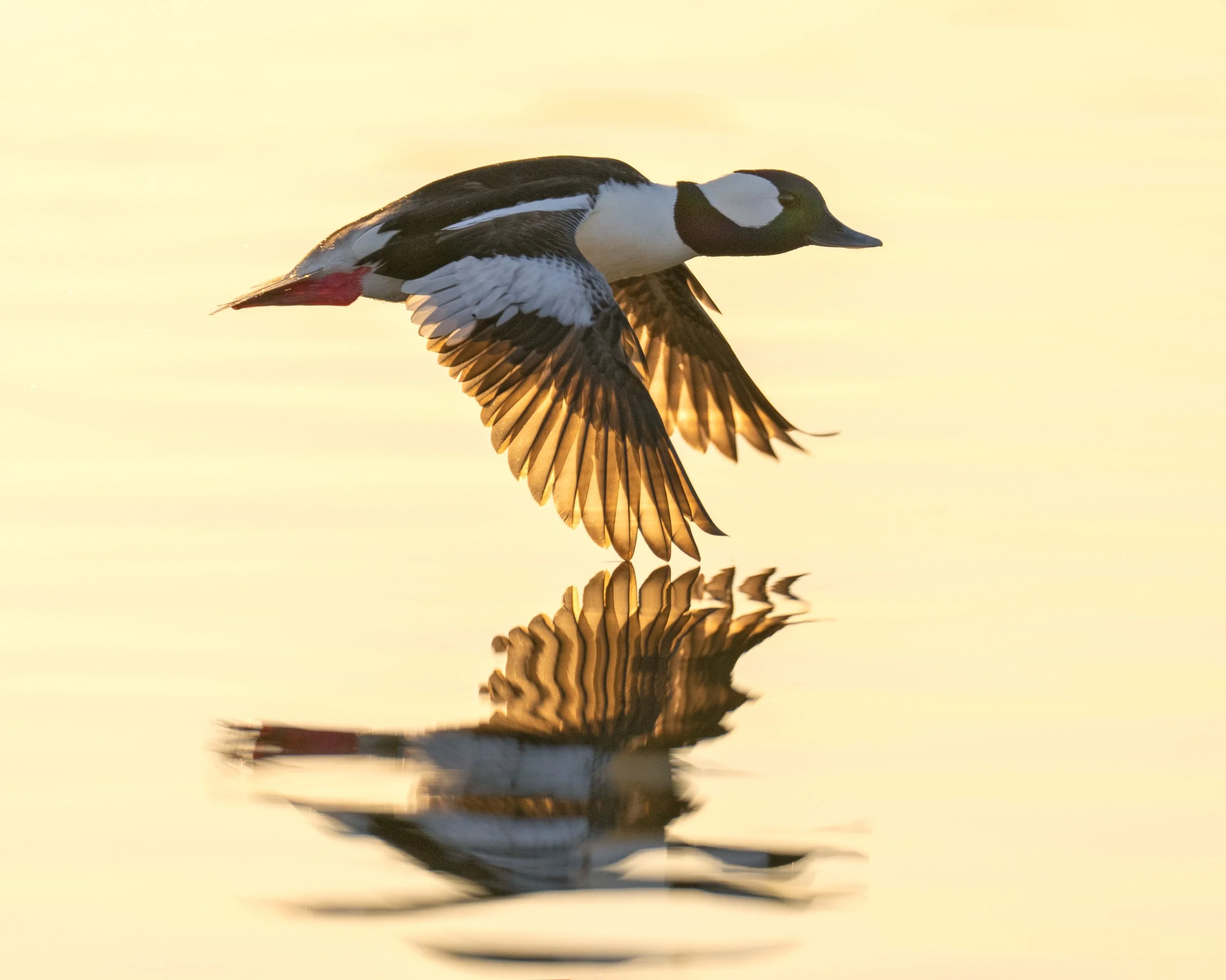 2022-03-28 REEDS LAKE 314.jpg