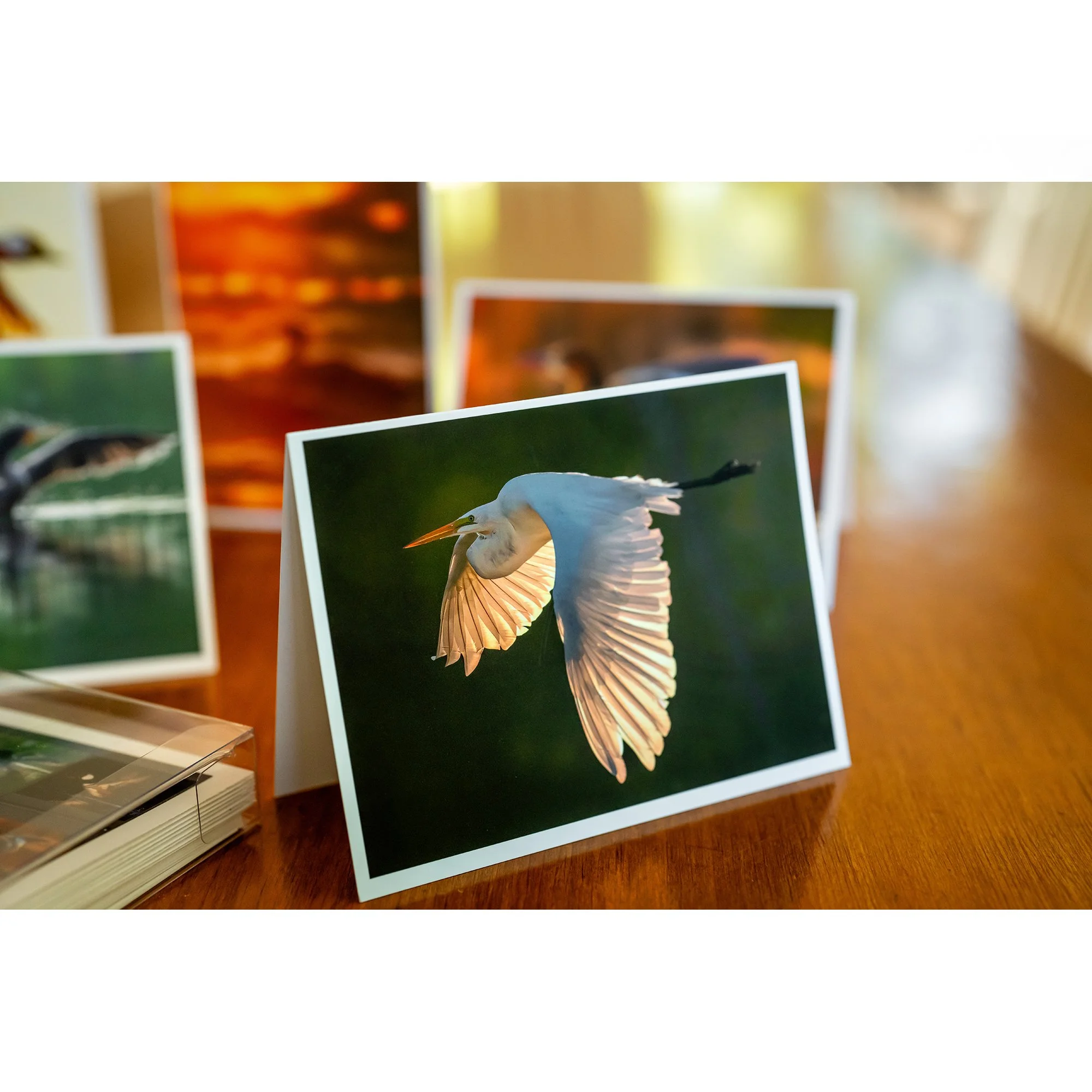 NOTECARD_Waterbird_2.jpg