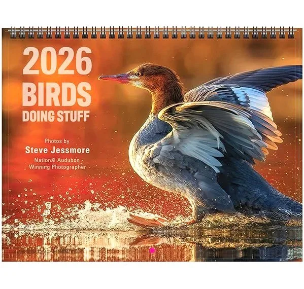 COVER+2026+BDS+web.jpg