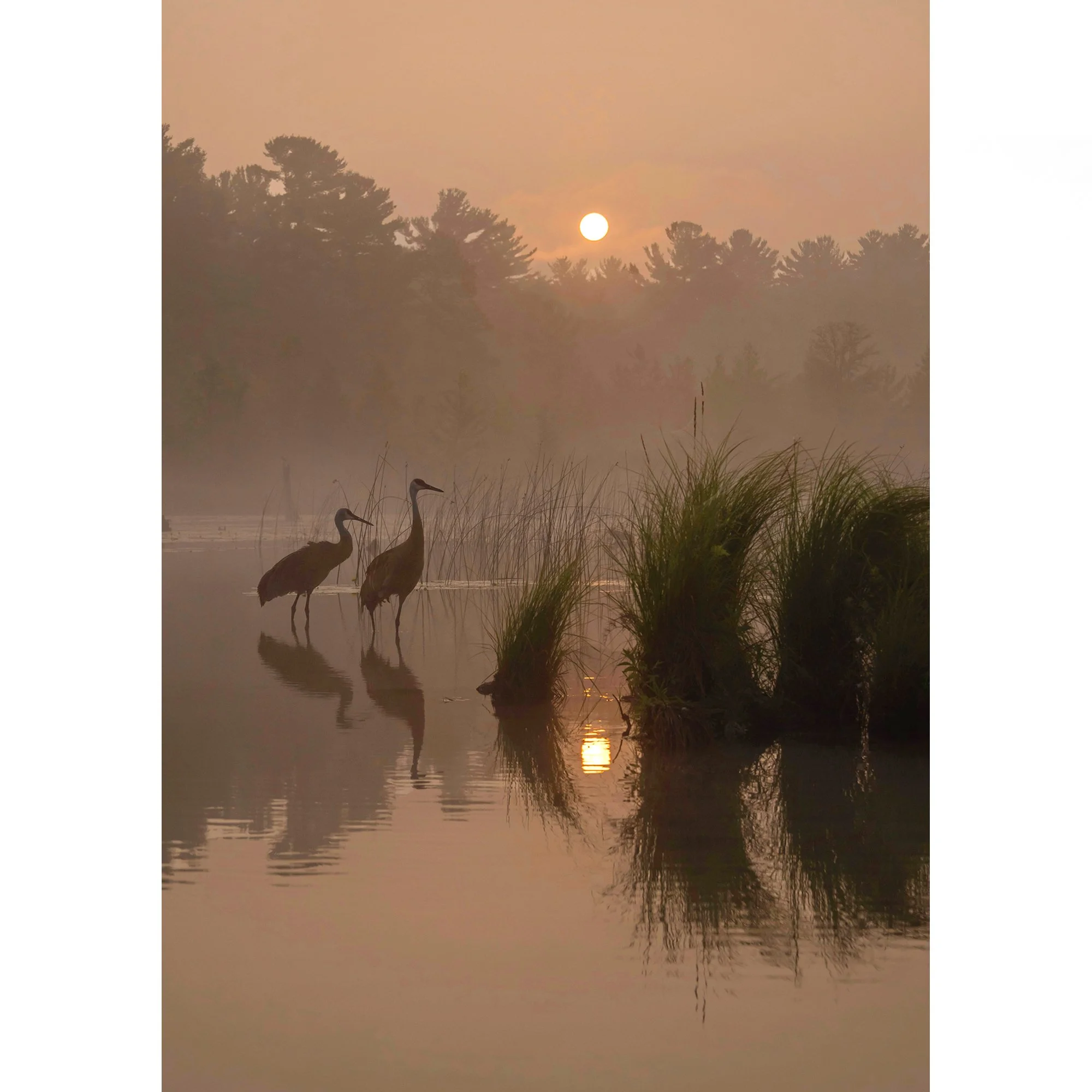 2025 Nature Thumb smokysunrise.jpg