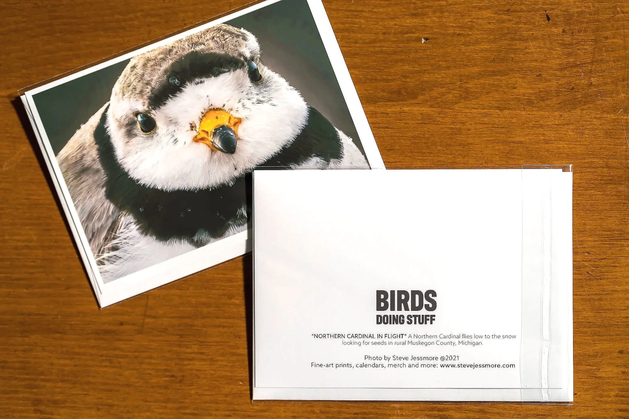Greeting+Cardxs_002.jpg