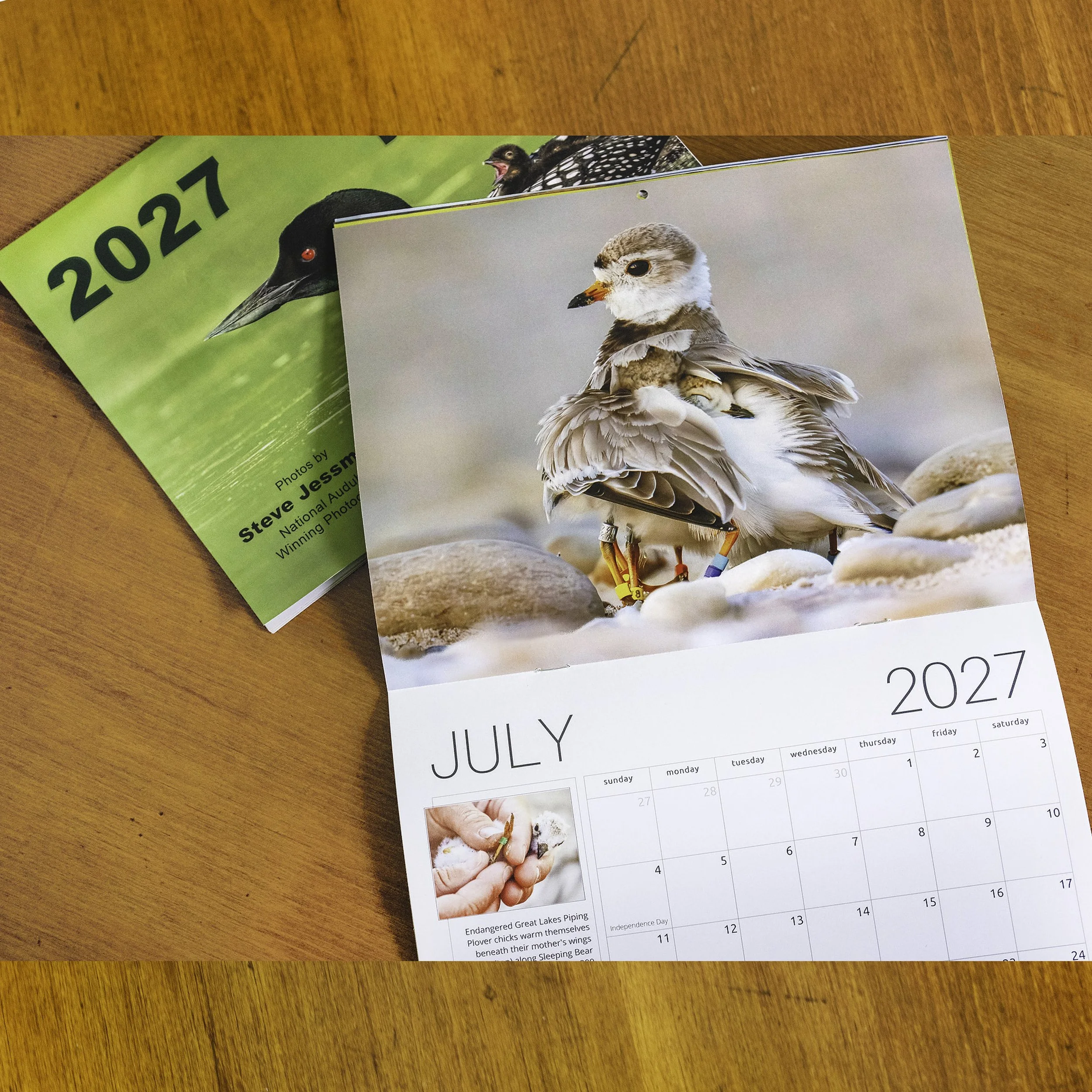 Splendor_CAL_JULY.jpg