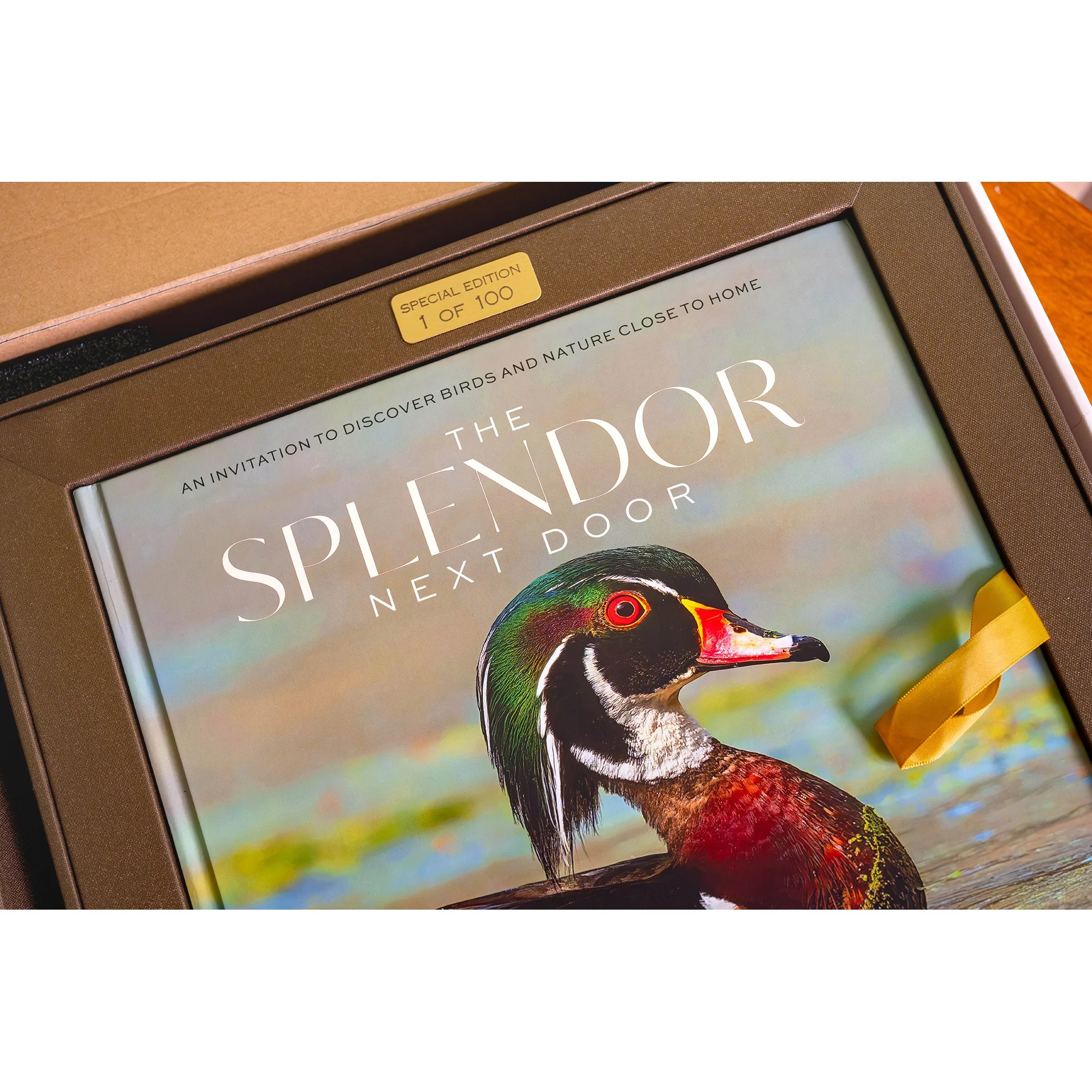 Splendor SE 05.jpg