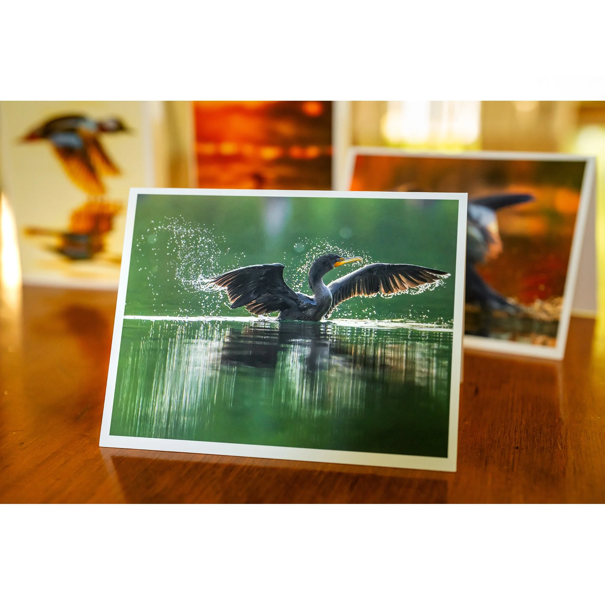 NOTECARD_Waterbird_3.jpg