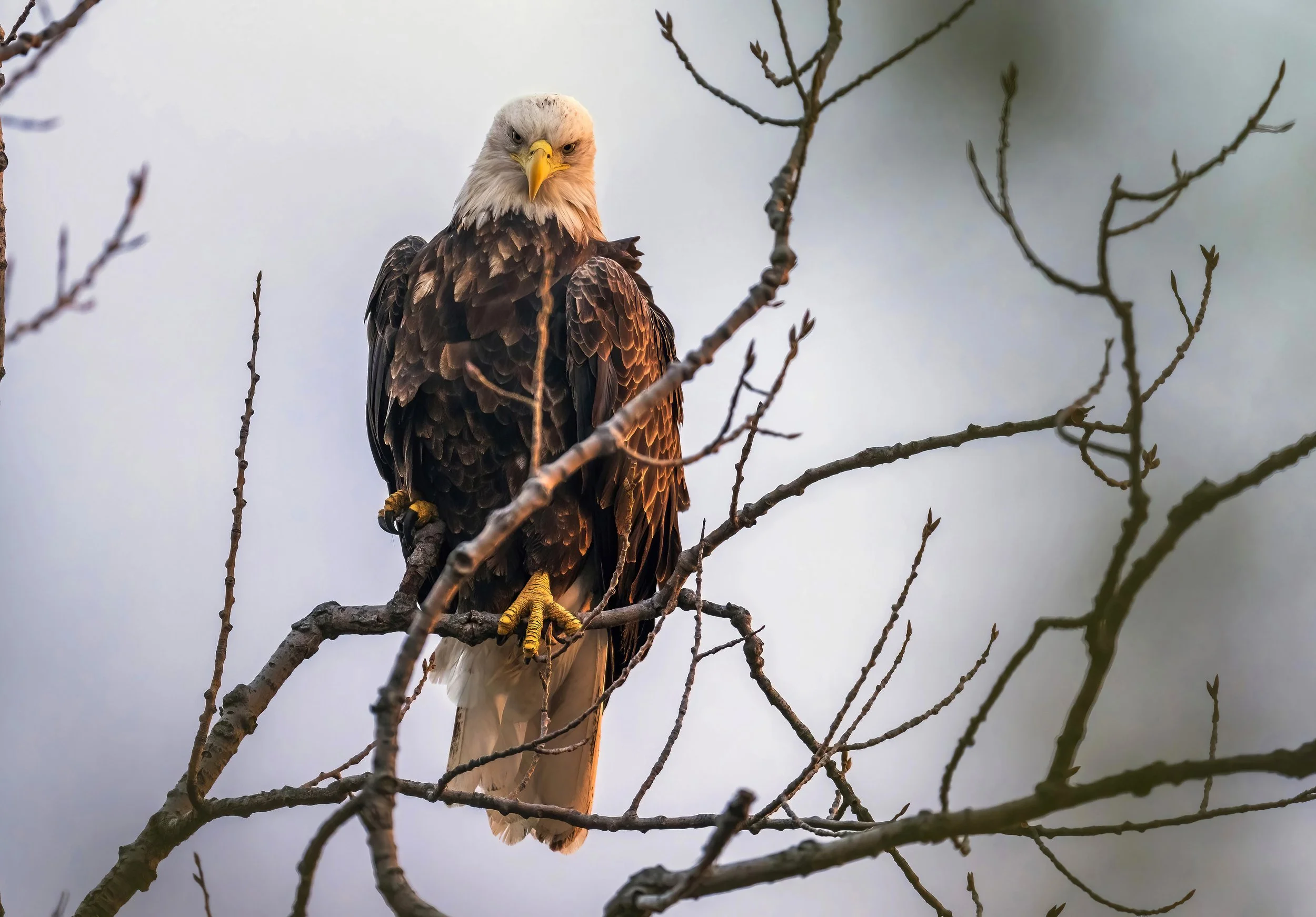 _2022-10-24 Reeds Lake 447b-DeNoiseAI-standard.jpg