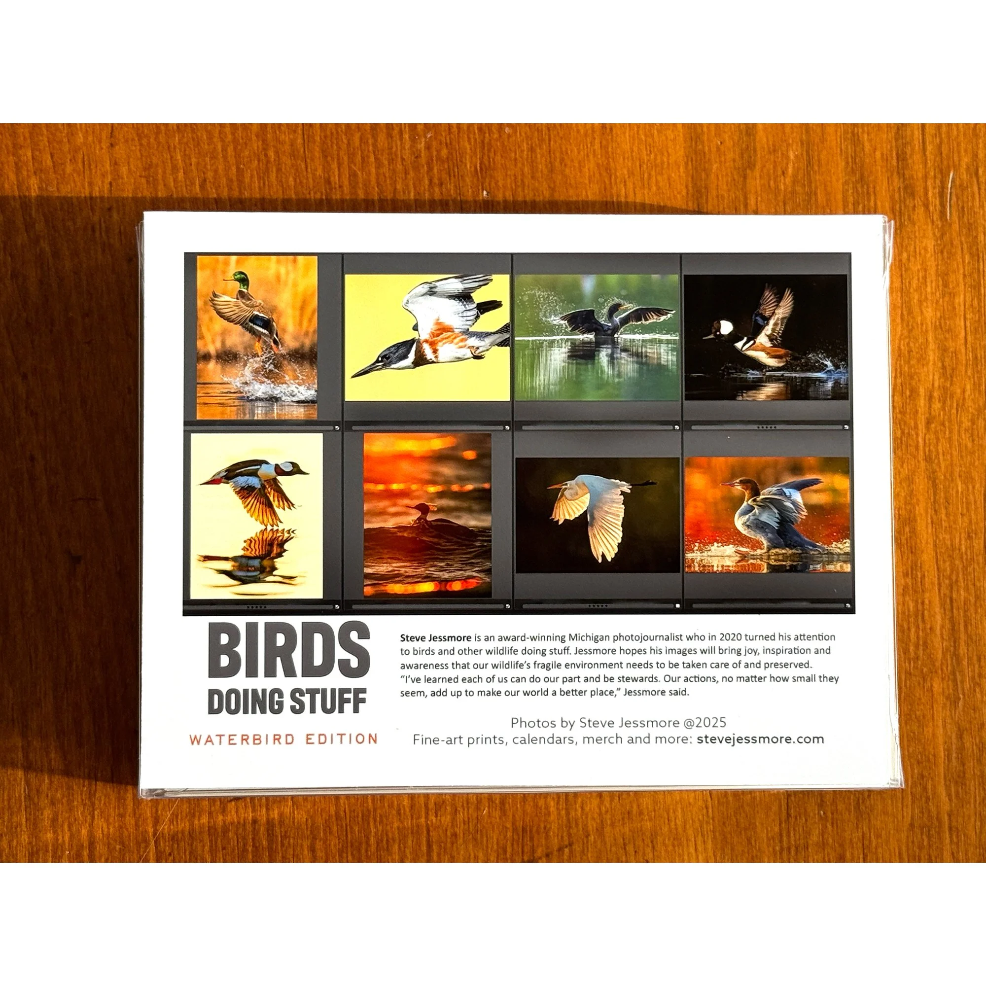 ___WEB HORIZ BASE.jpg