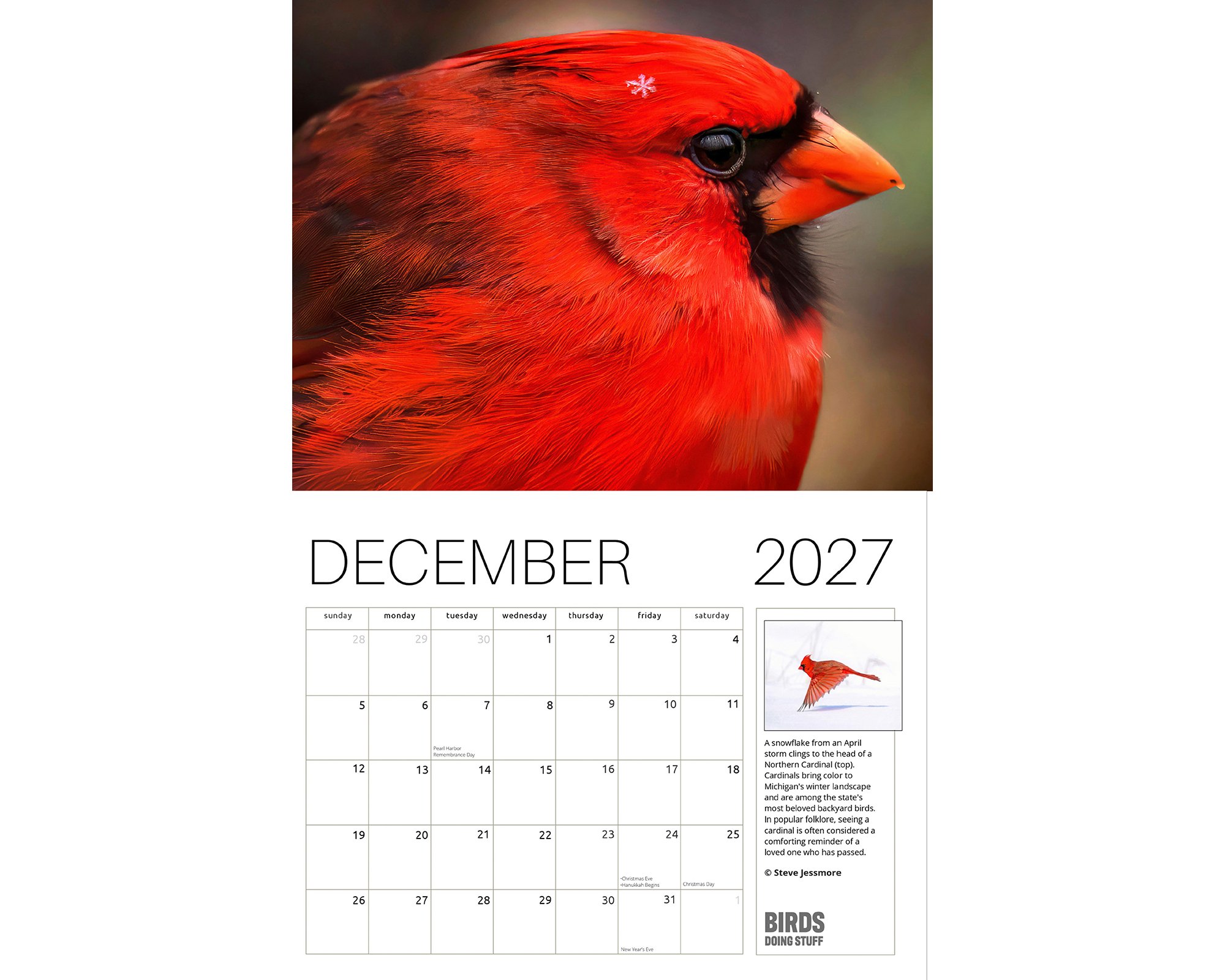 2027 Birds Doing Stuff calendar by award-winning Michigan bird photographer Steve Jessmore featuring Northern Cardinal snowflake