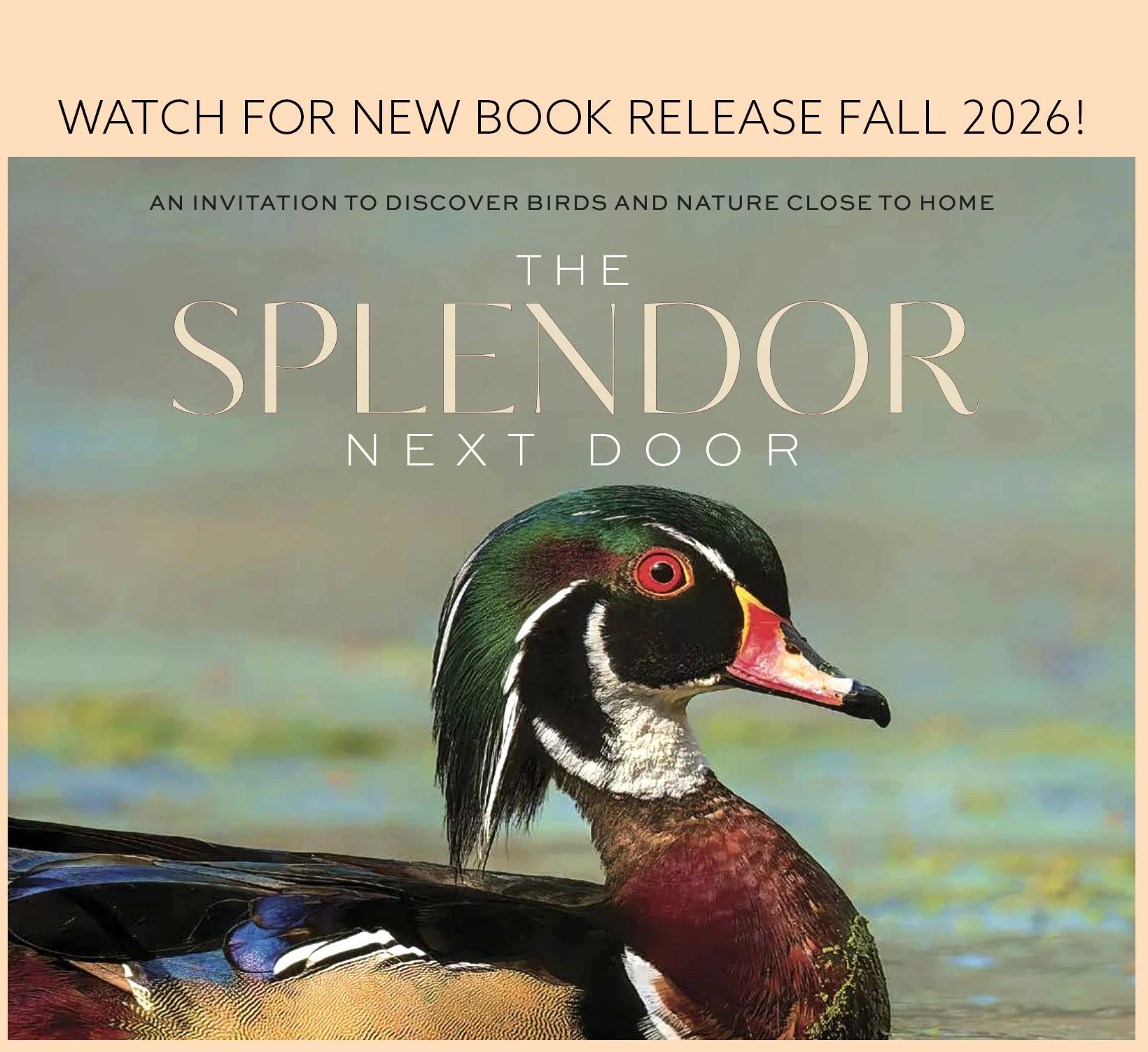 NEW BOOK PROMO.jpg
