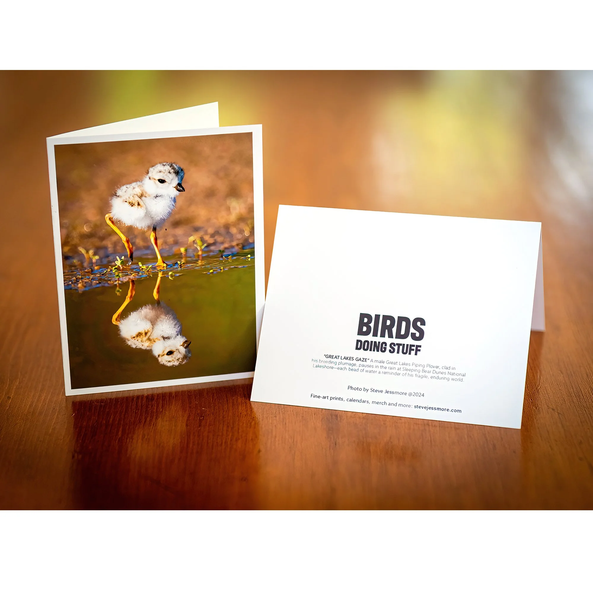 PLOVER_Notecards3.jpg