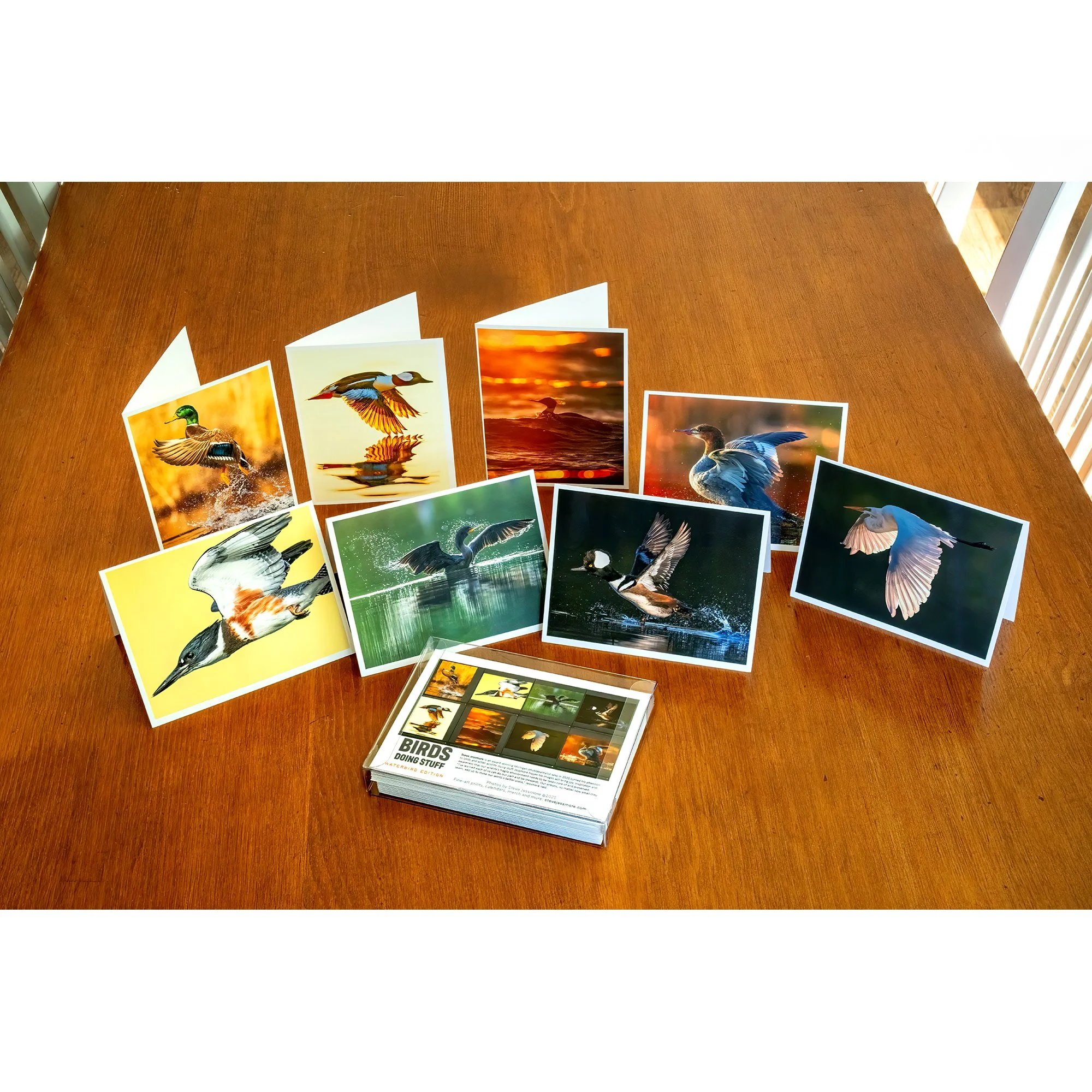 NOTECARD_Waterbird_group.jpg