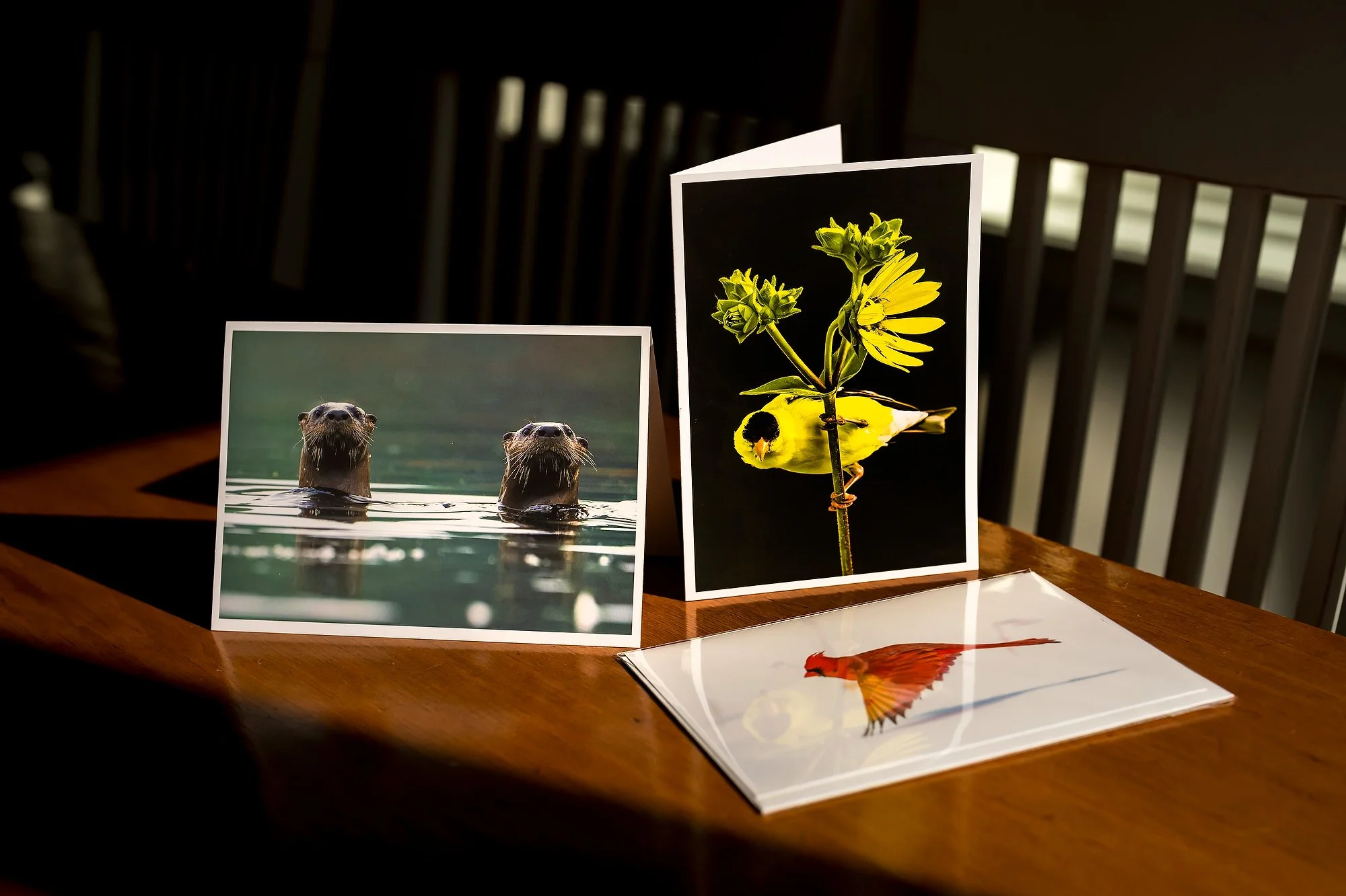 Greeting Cardxs_004.jpg