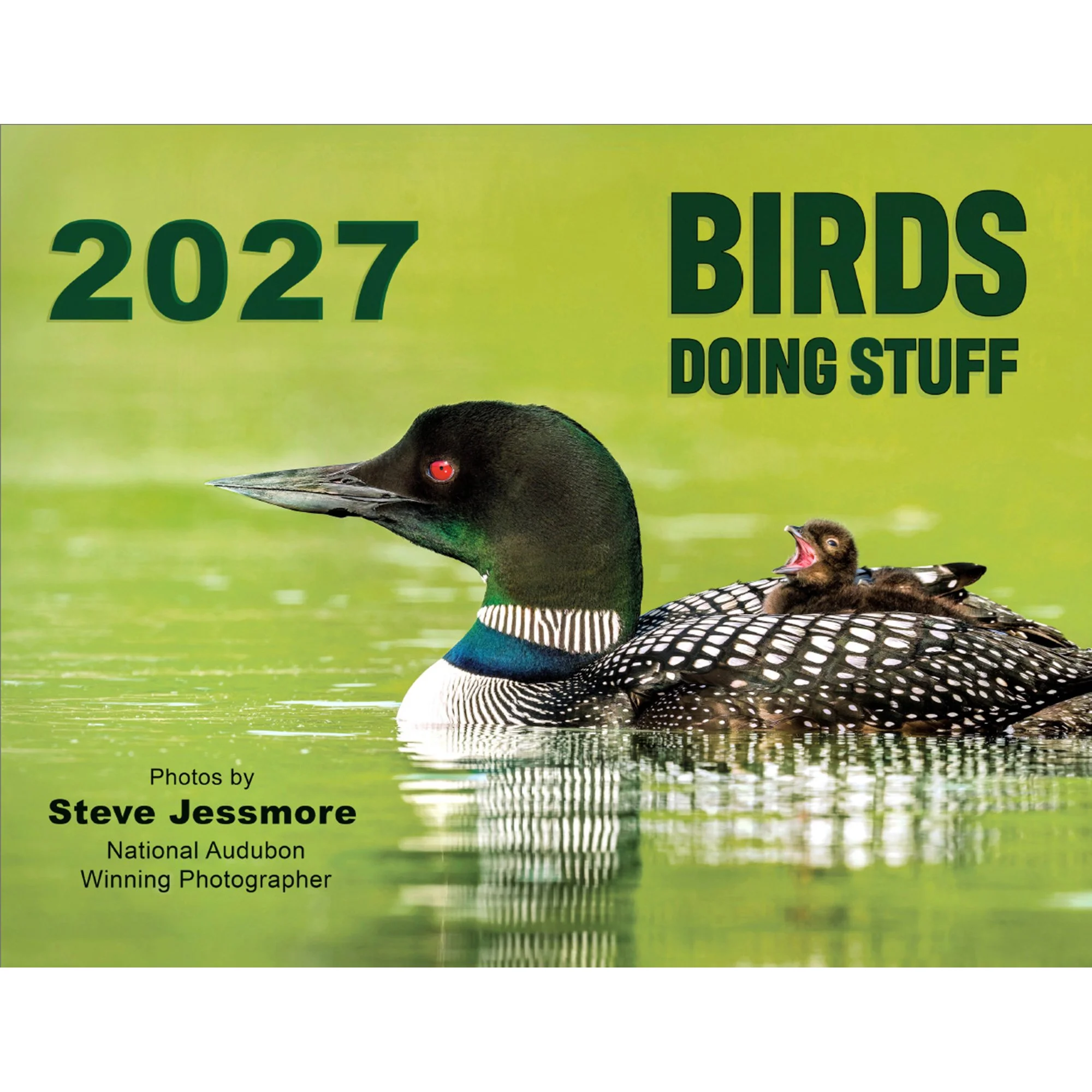 2027 Birds Doing Stuff Calendar | Michigan Bird Photography by Steve Jessmore