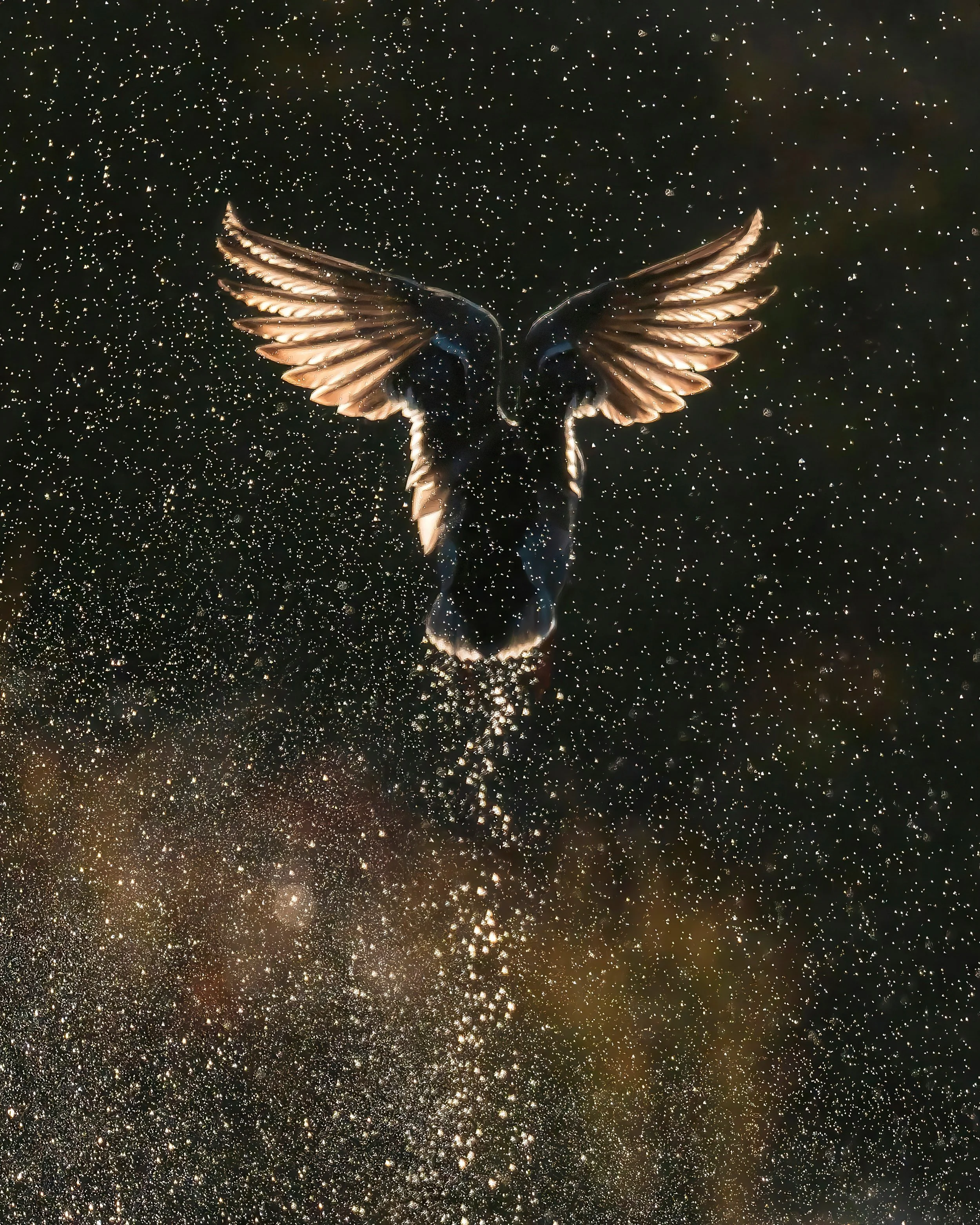 2025-10-14 Torch 0543-Gp2x2c2.jpg