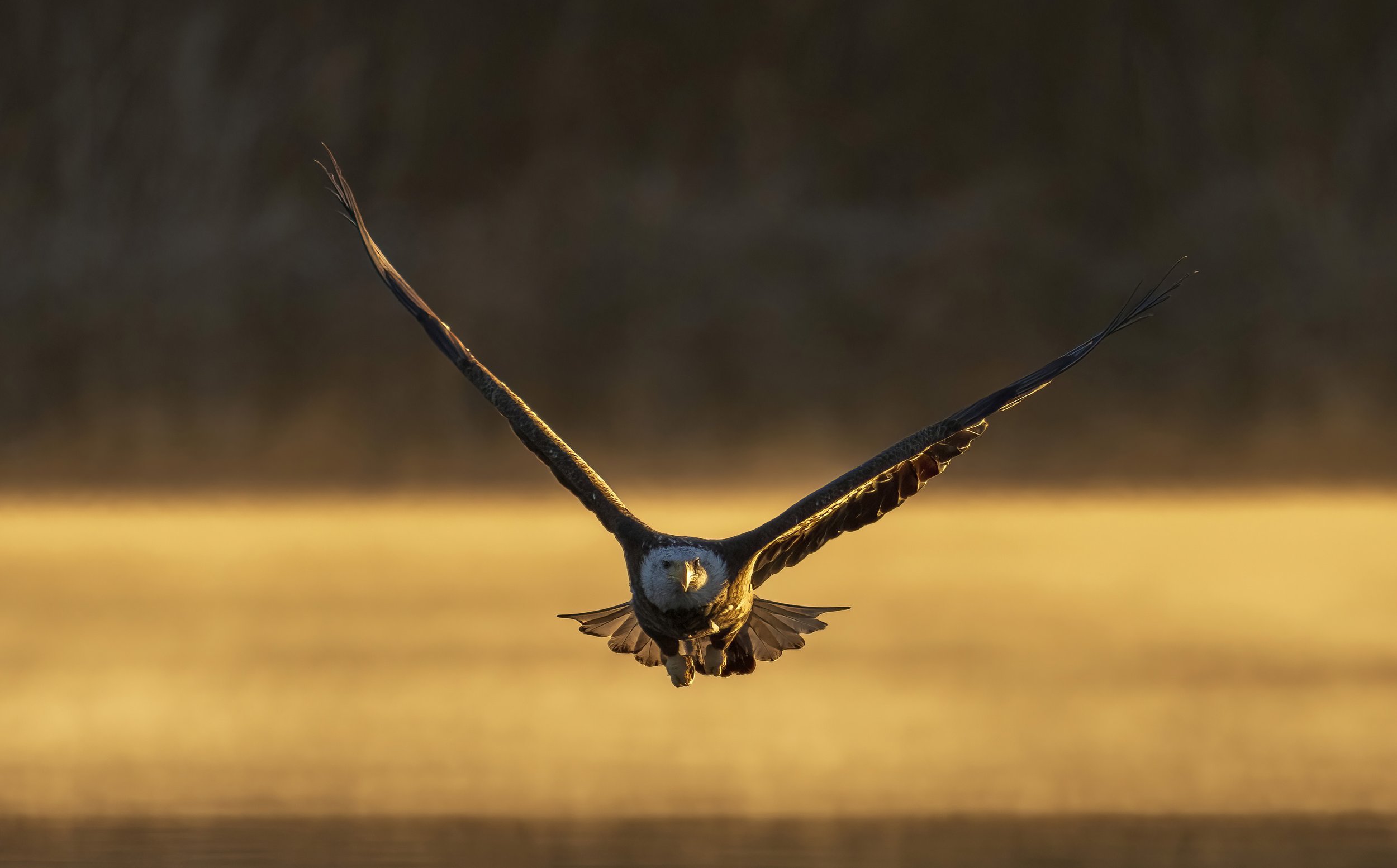 2021-11-23 REEDS LAKE 362.jpg