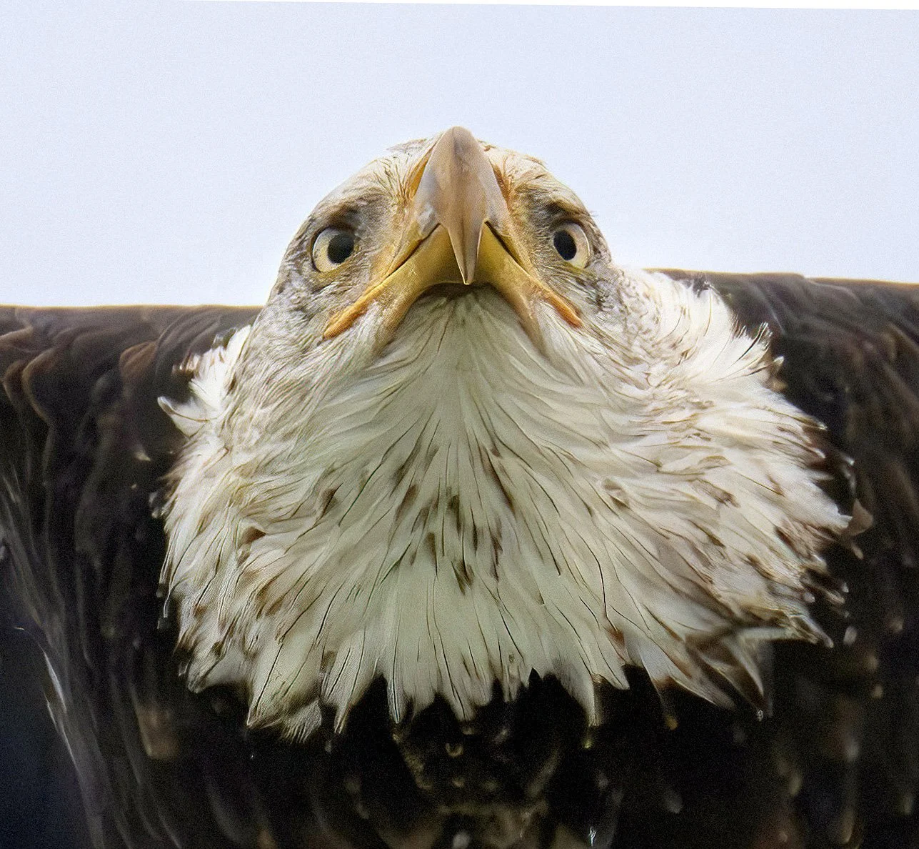 2025-12-29 Torch 718 pm.jpg