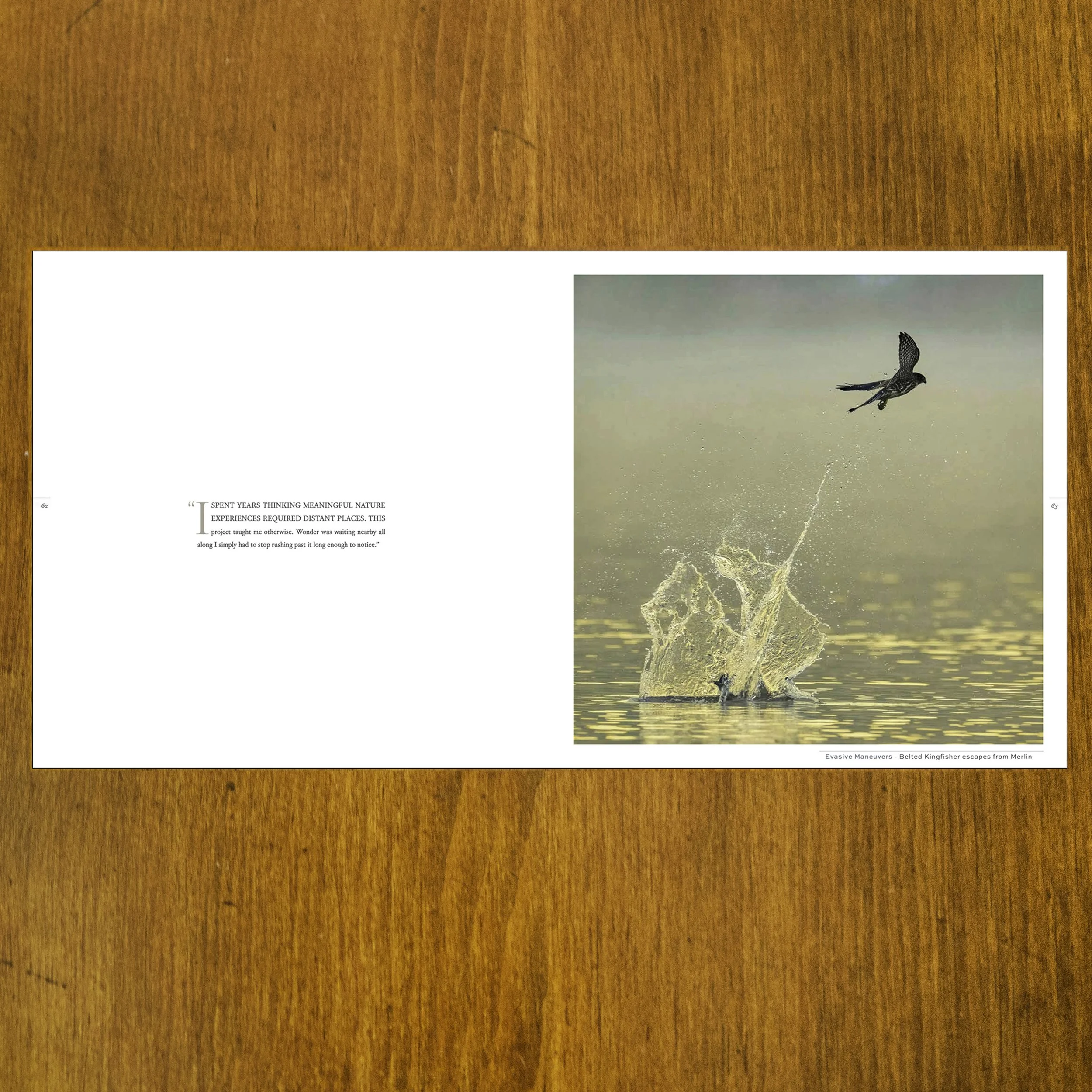 Splendor BK 07.jpg (Copy)