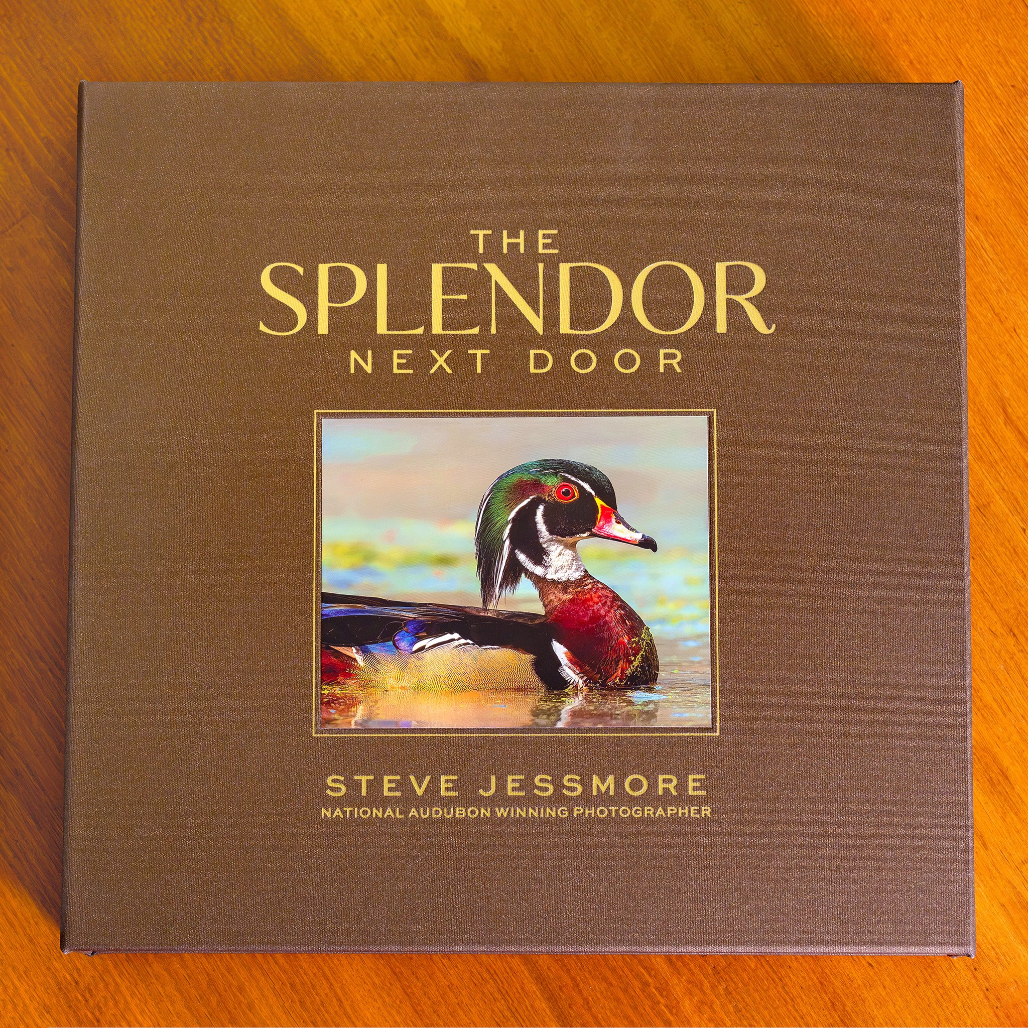 Splendor SE 01.jpg