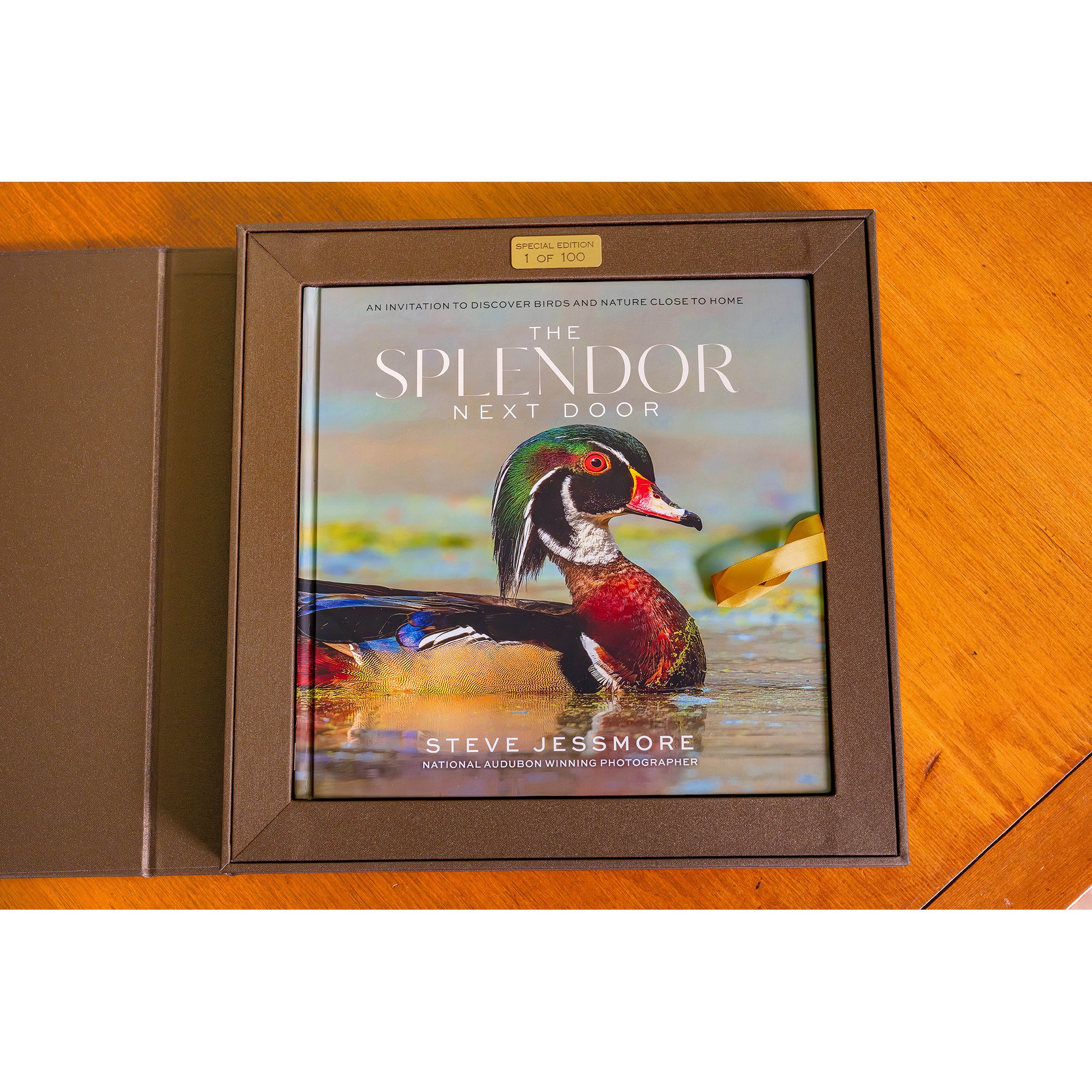 Splendor SE 04.jpg