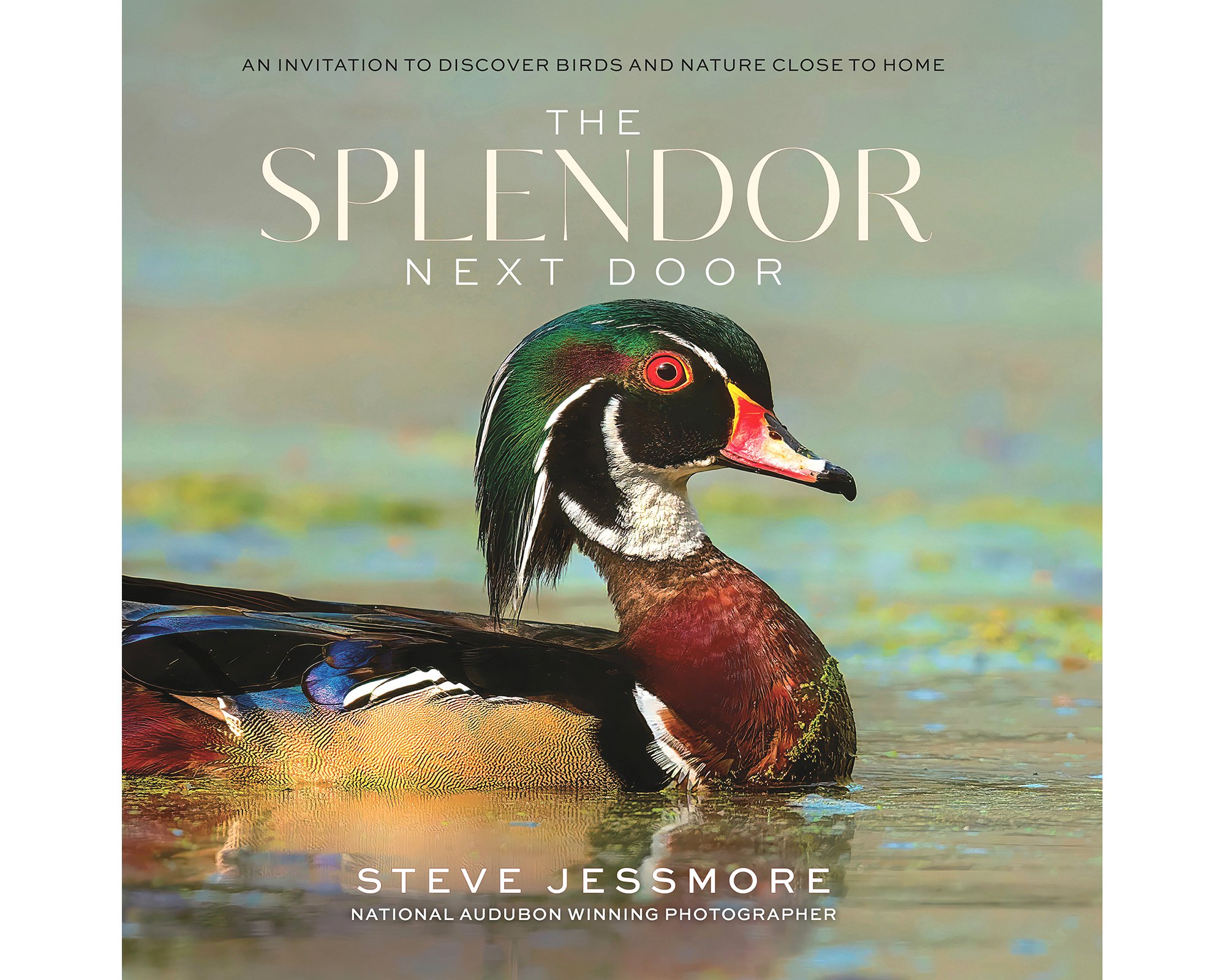 The Splendor Next Door | First BIRDS DOING STUFF book | Michigan Bird Photography by Steve Jessmore