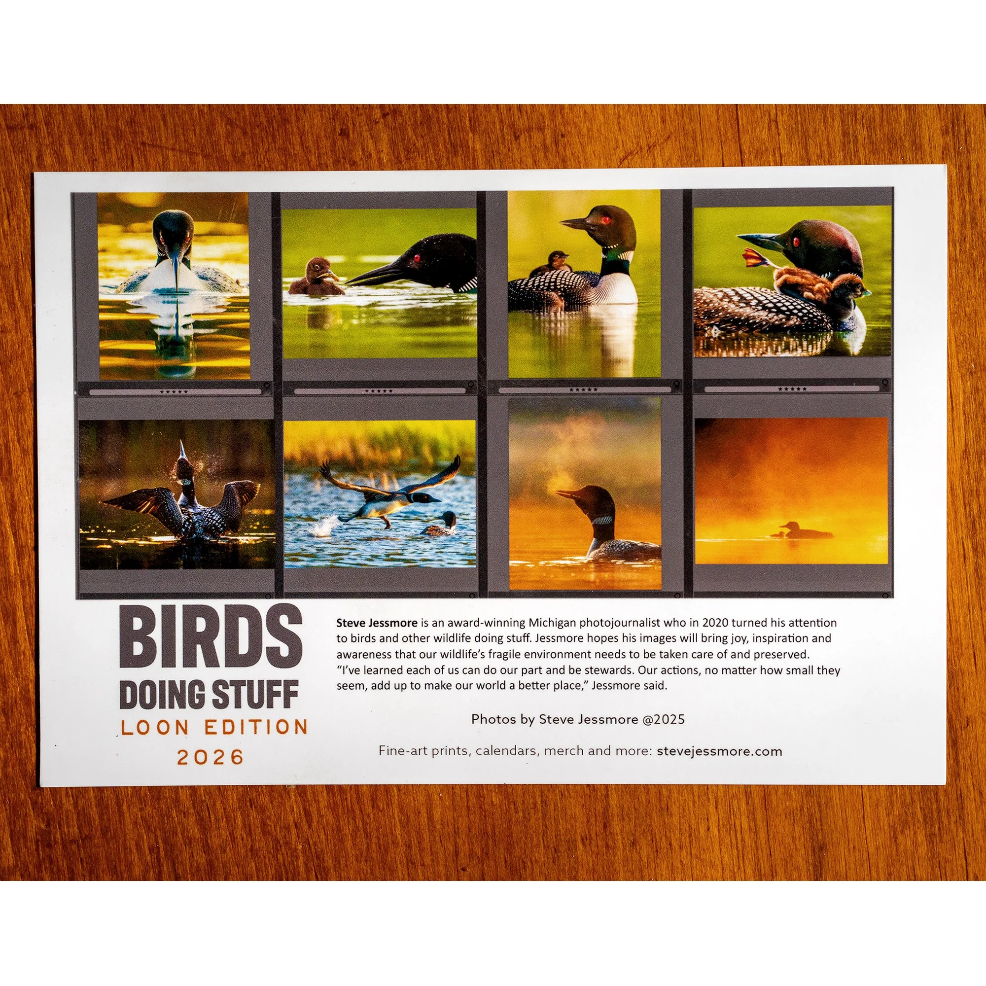 ___WEB Loon26-2.jpg