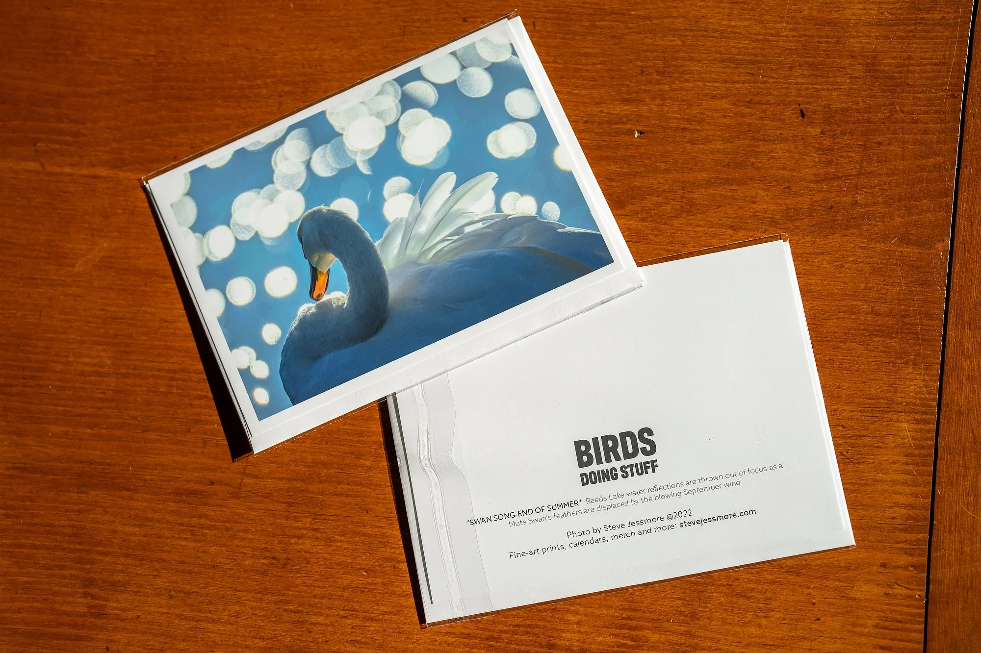 Greeting Cardxs_005.jpg