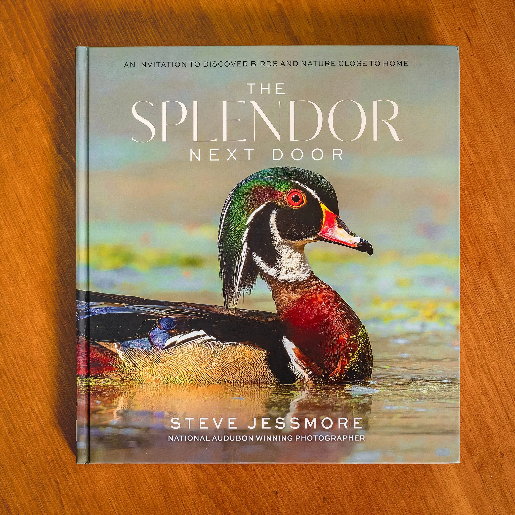 Splendor BK 01.jpg (Copy)