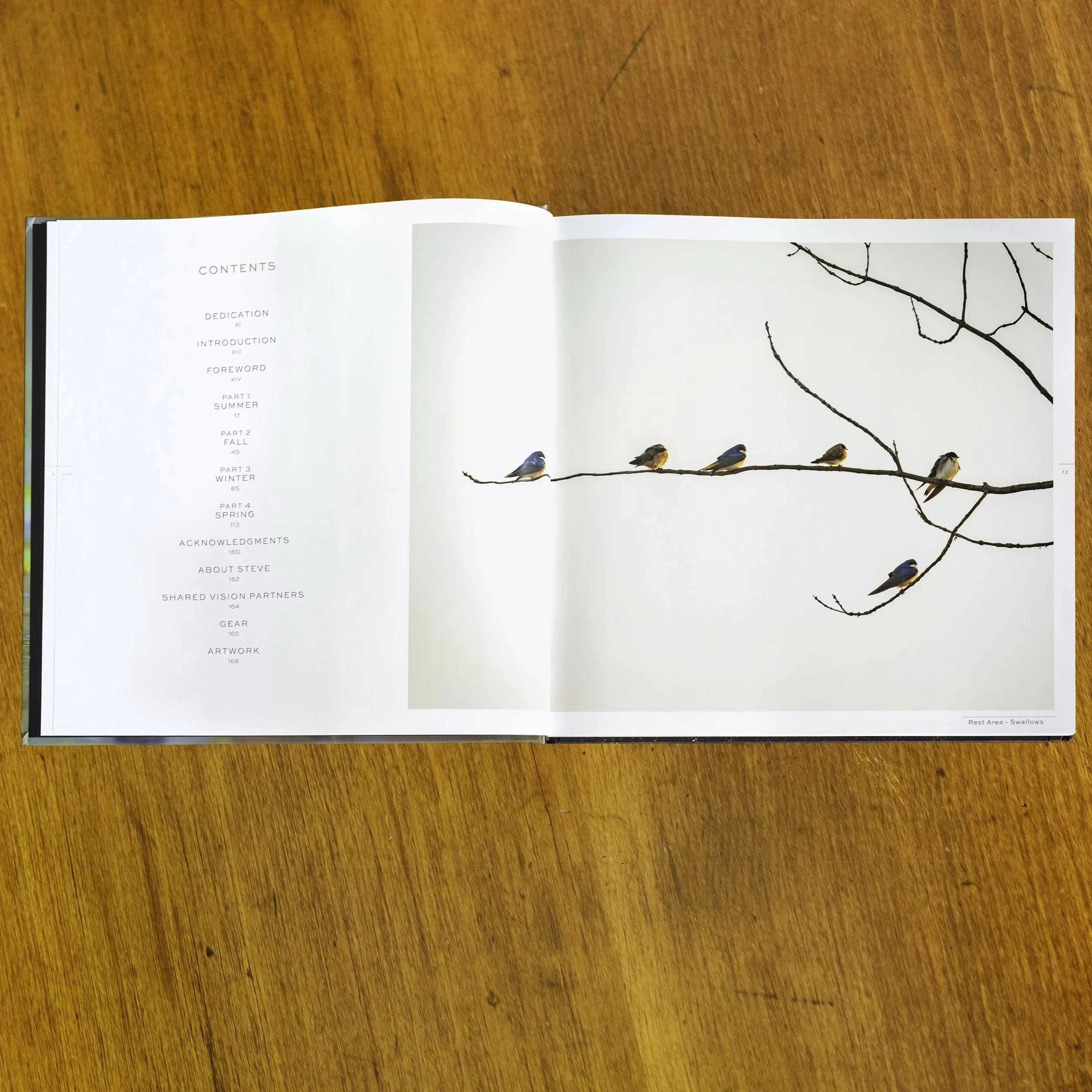 Splendor BK 08.jpg (Copy)