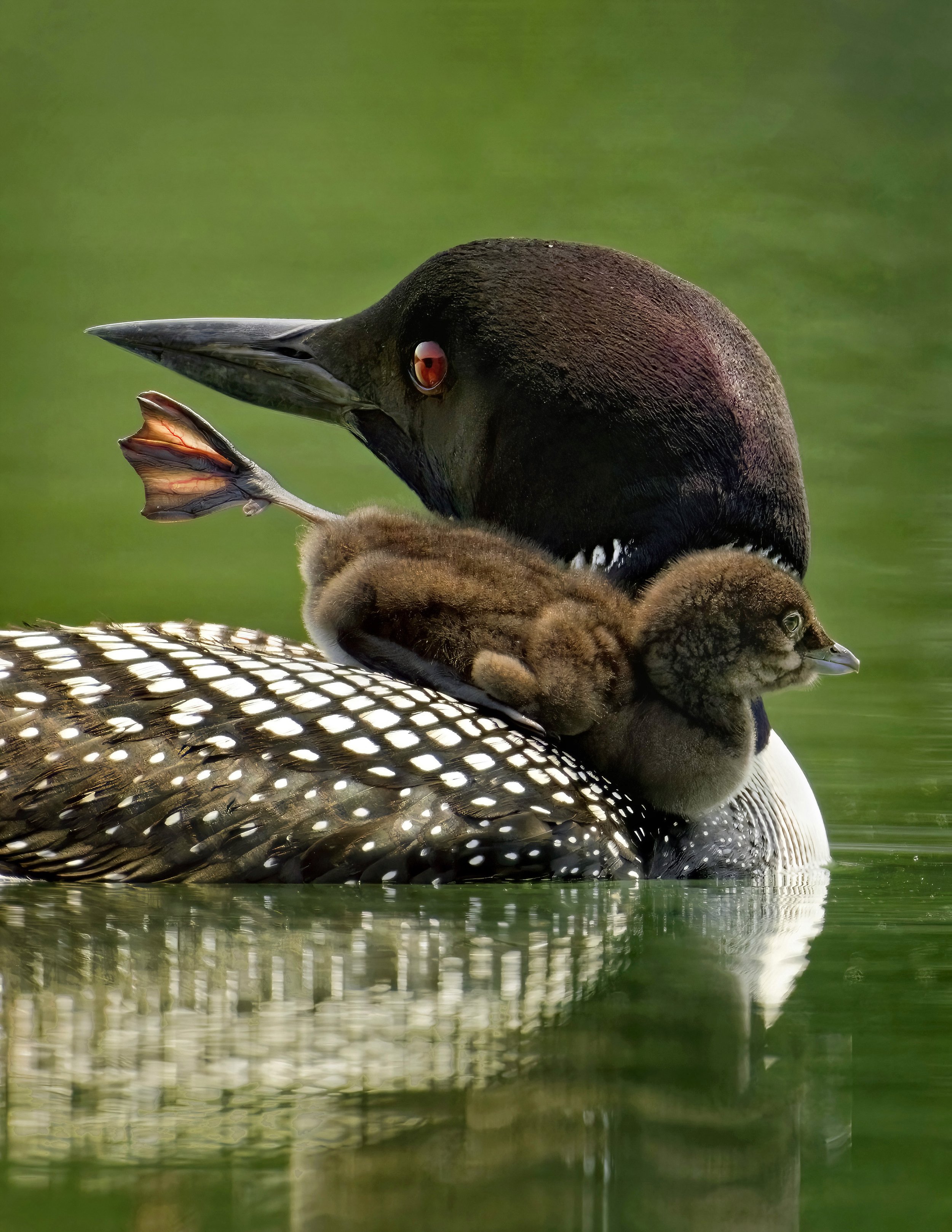 _2023-06-14 Torch 2337_1c_jessmore-DeNoiseAI-standard.jpg