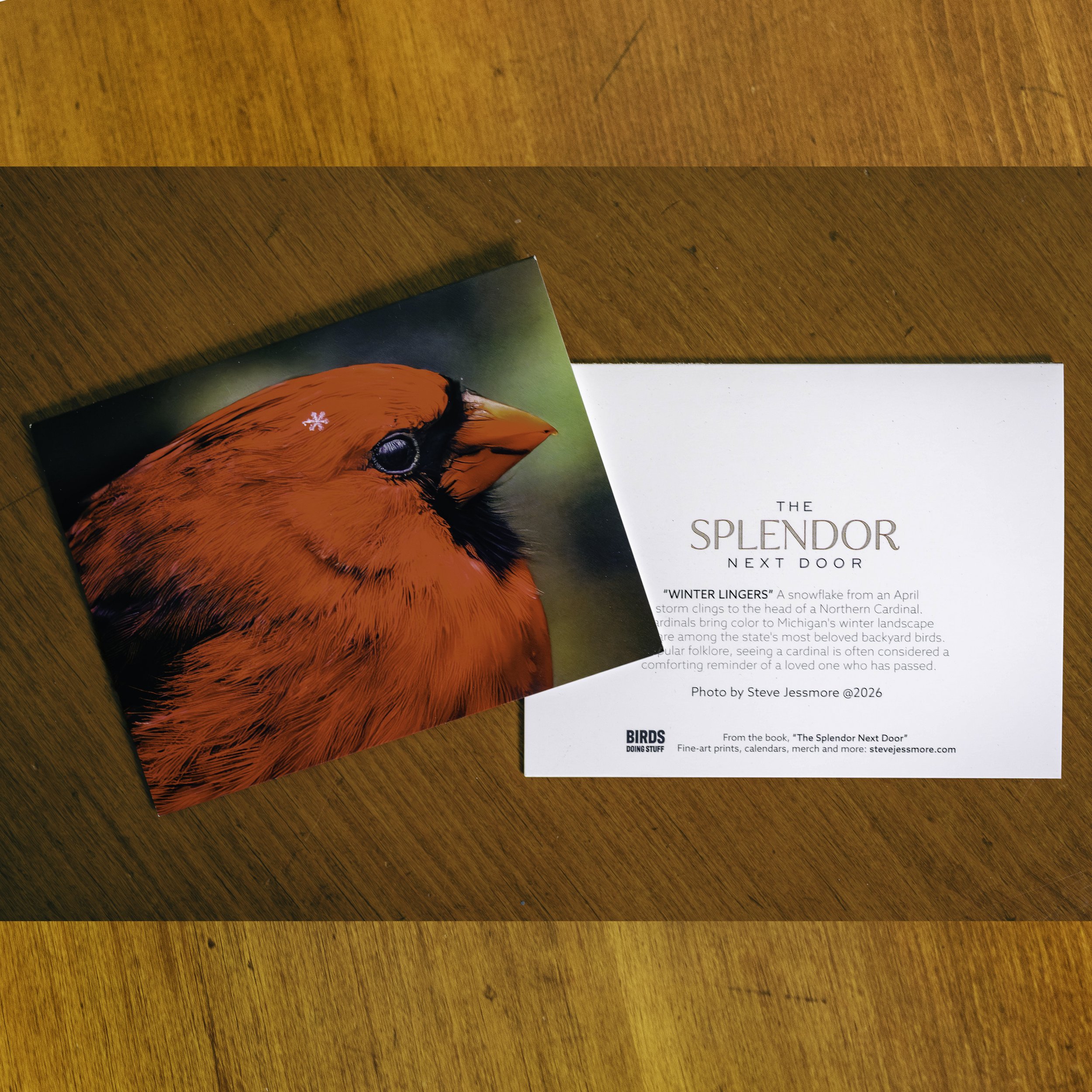 SPLENDOR NOTECARD TABLE.jpg