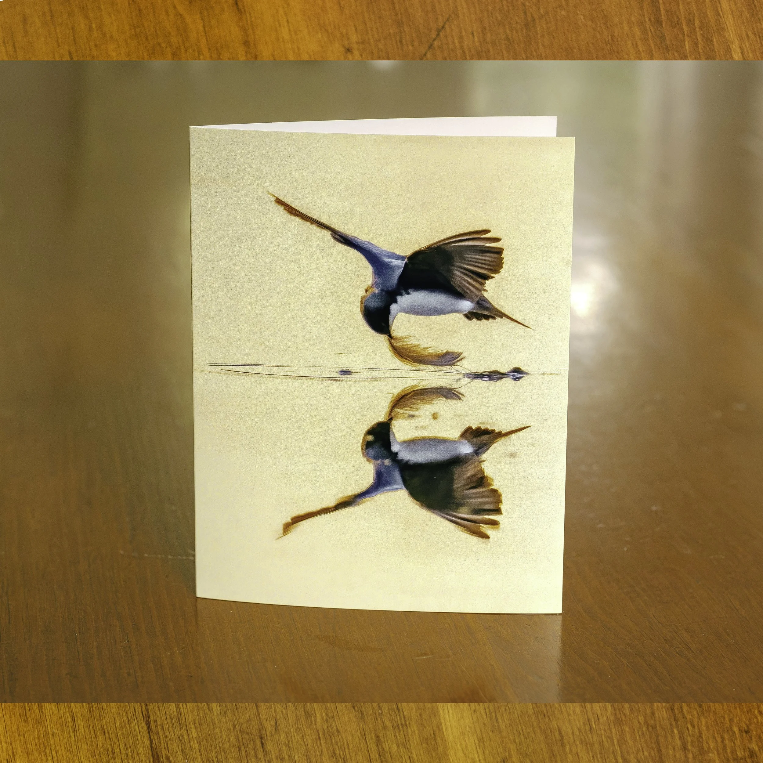 SPLENDOR feather notecard table.jpg