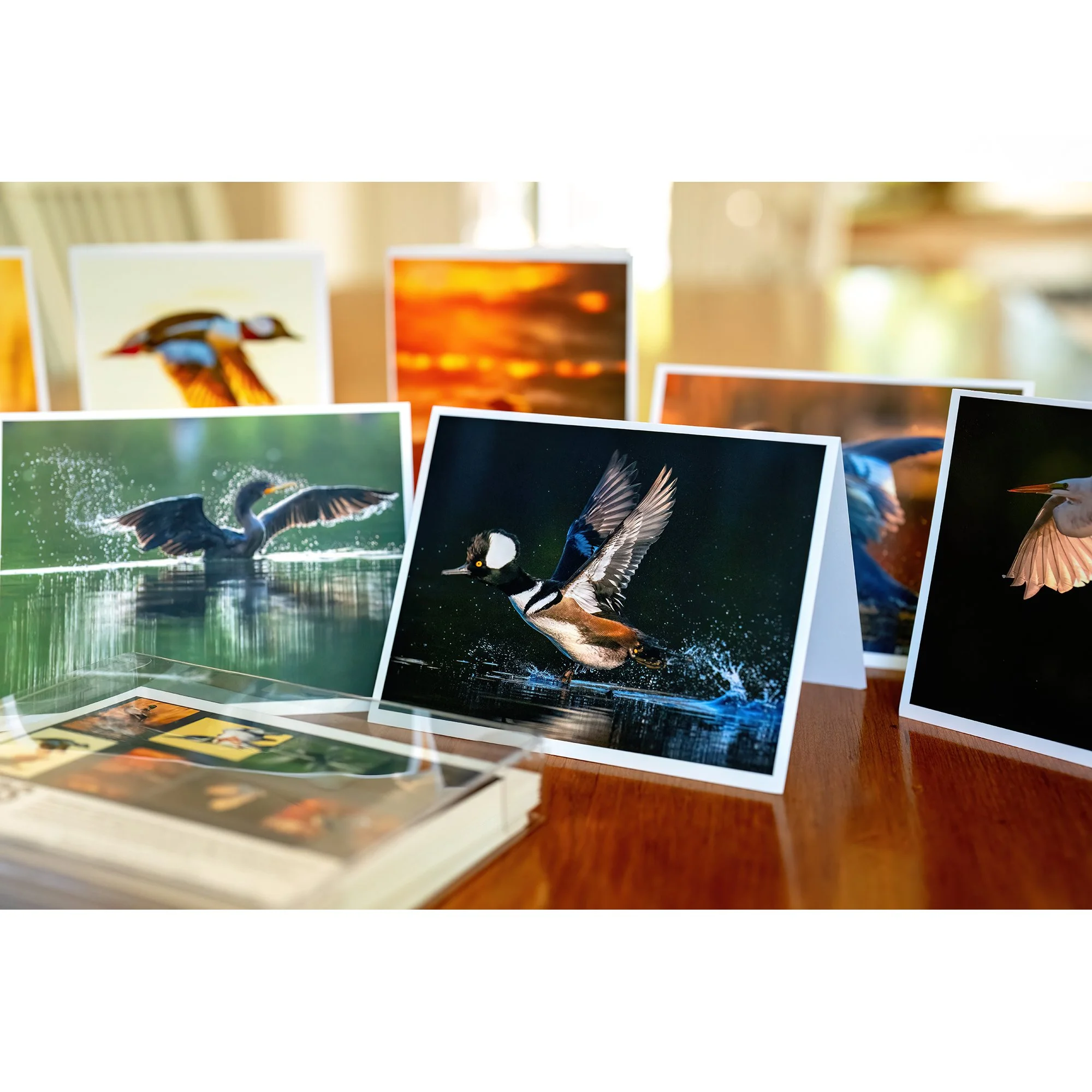 NOTECARD_Waterbird_1.jpg