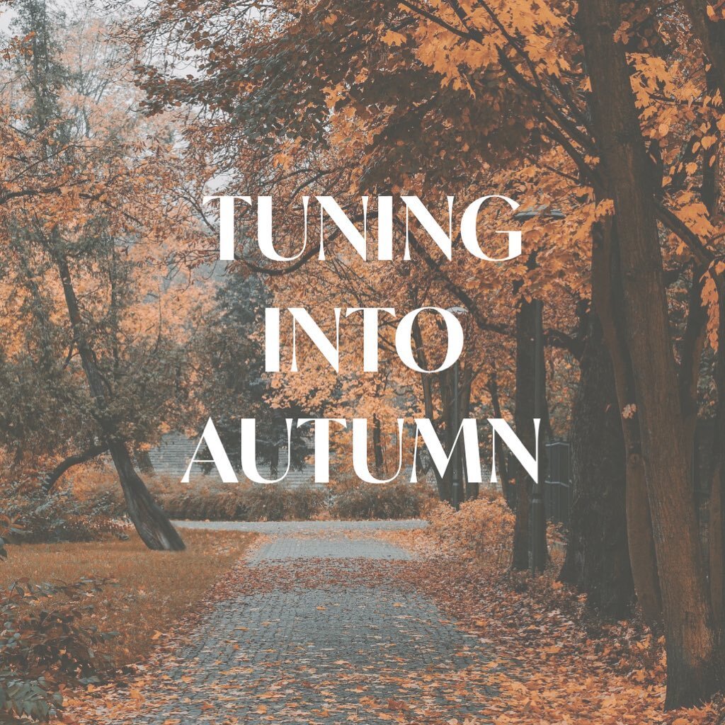 Tuning in to Autumn

During autumn, the world&rsquo;s yin energy begins to increase, as yang wanes. It is a time of turning inward, gathering what is essential and letting go of what is not needed. As humans, we experience these same energetic change