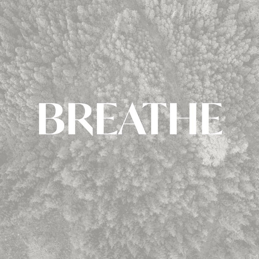 &ldquo;Through all our changing experiences the rhythm of the breath remains our dependable link with our presence in the here &amp; now.&rdquo;
~ Carola Beresford-Cooke

How is your breath today? 

#BrunswickShiatsu #breathe #thebreath #breathing #l
