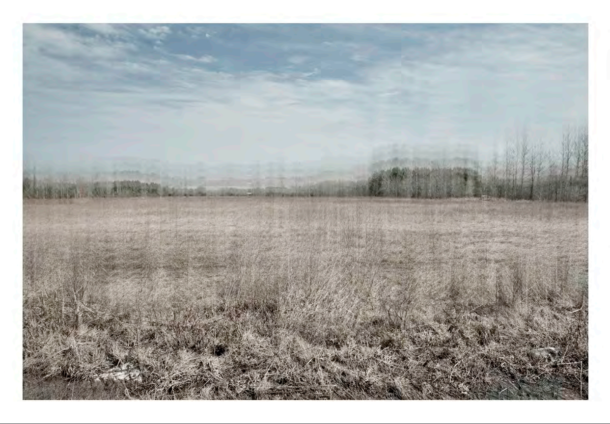 Joanna Ferraro_Way to Blue_Hinterland_38x54_2011_CPrint.png