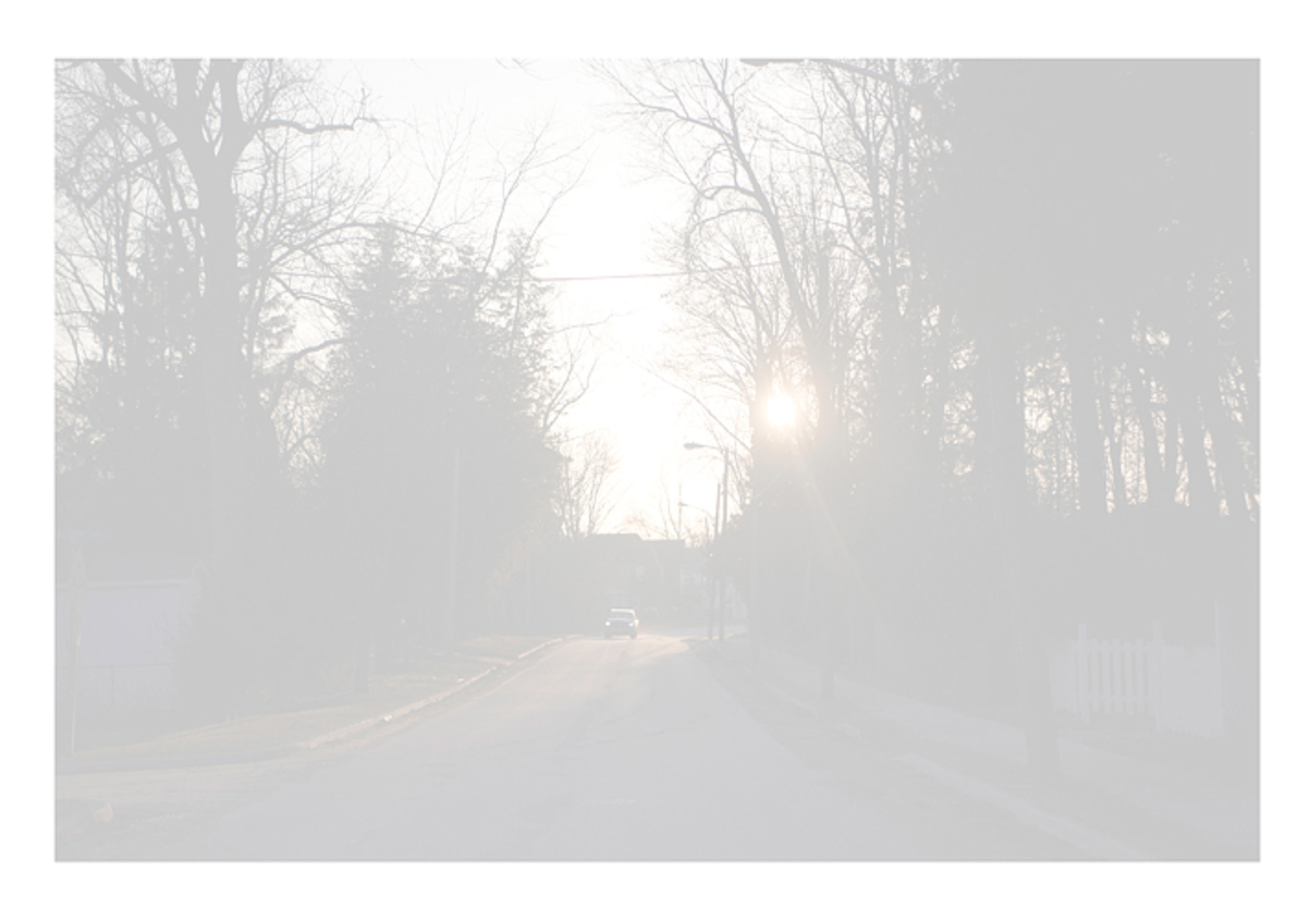 Screen Shot 2021-06-20 at 7.16.09 PM.png