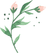 A watercolor illustration of a flowering plant with green leaves and pink buds.